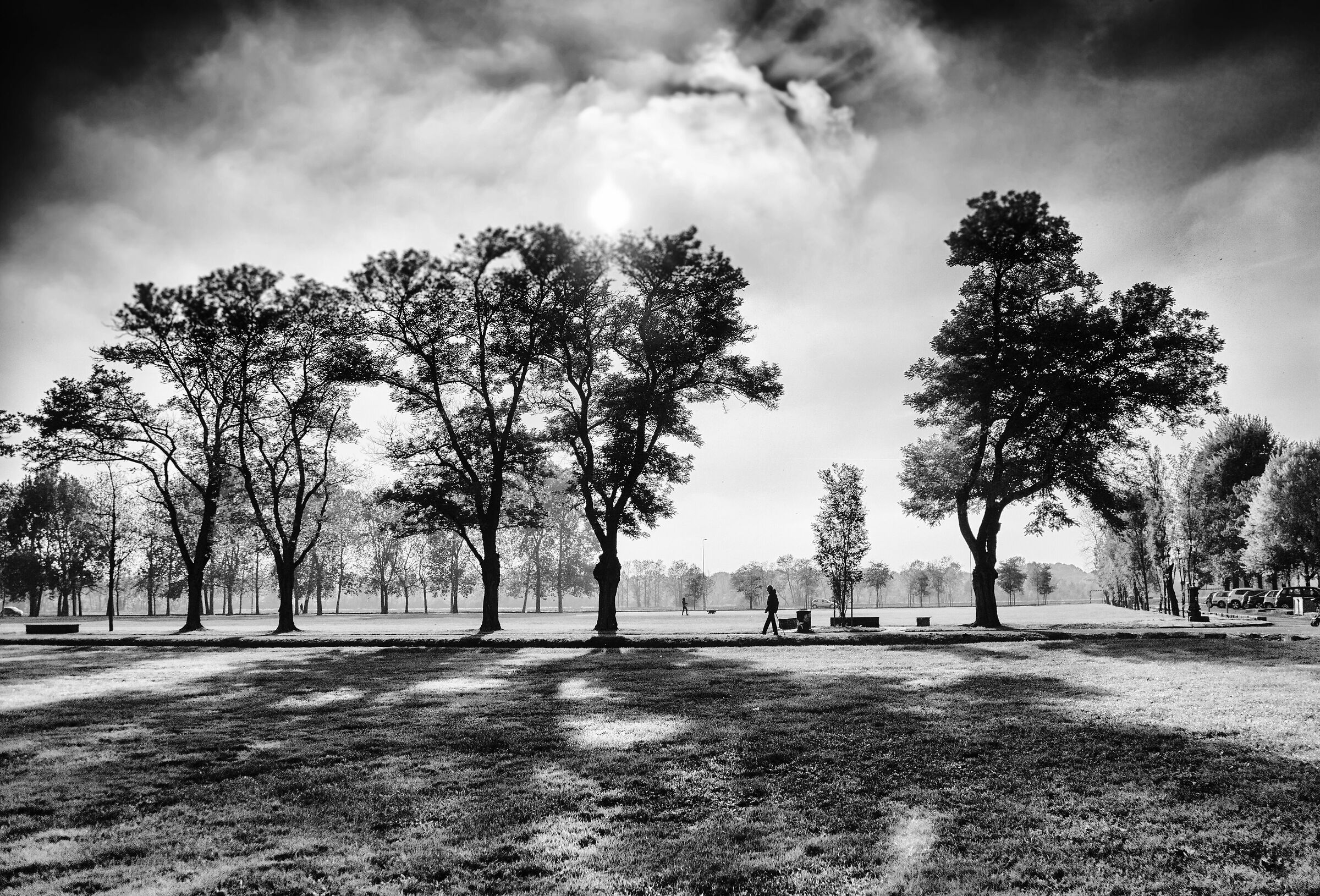 il parco