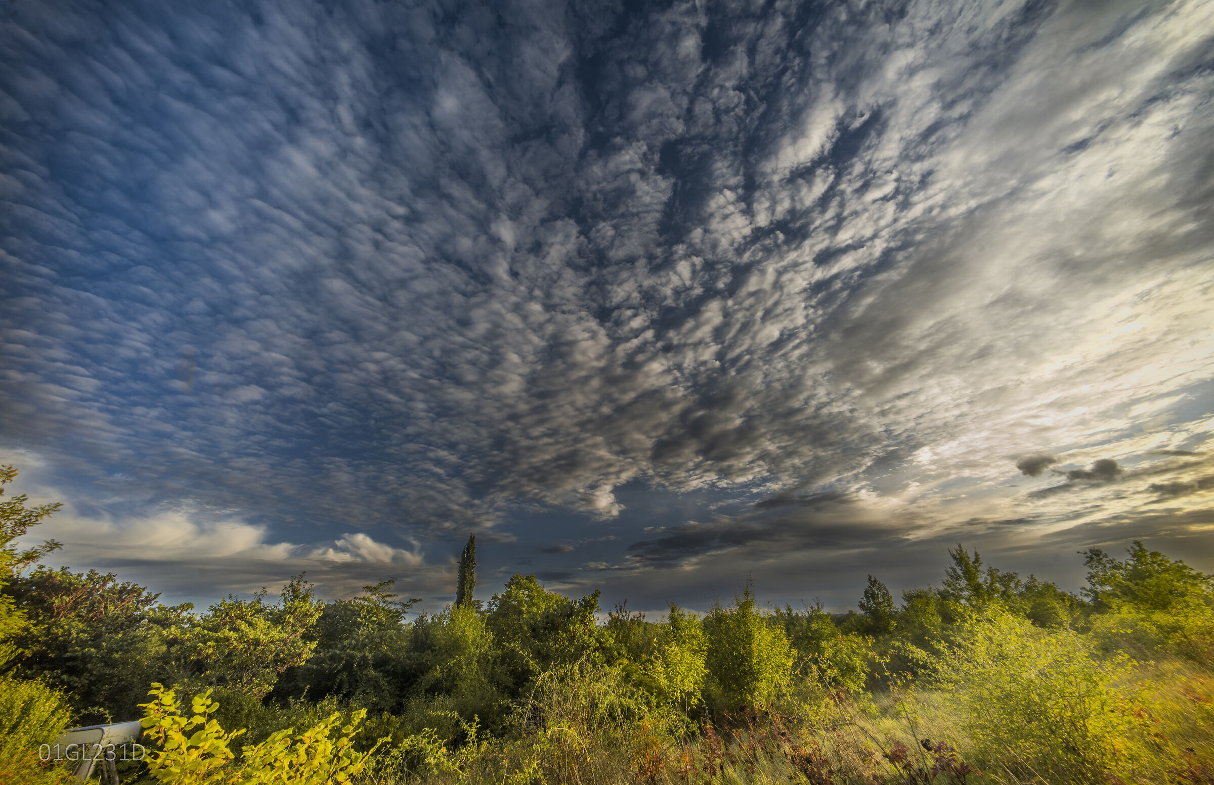 Untitled Photo