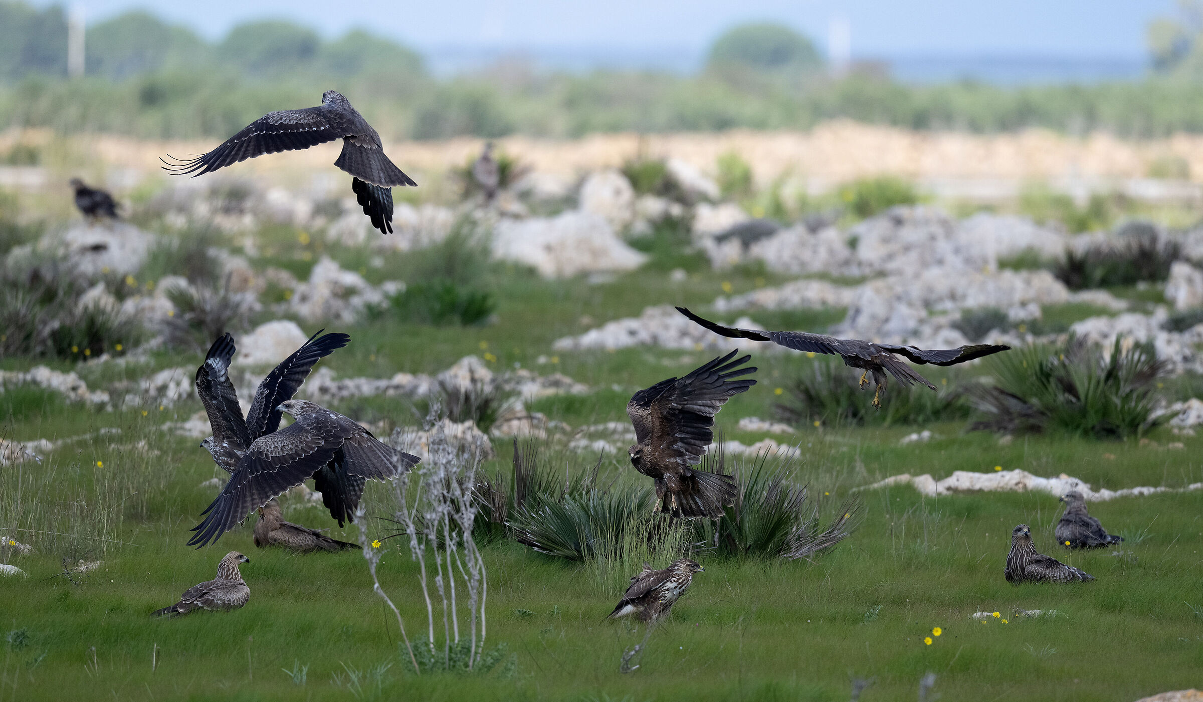 Assemblea condominio