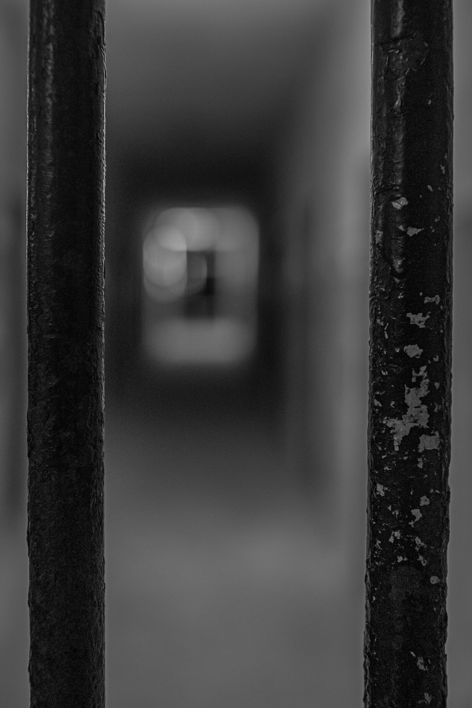 lines between me and life