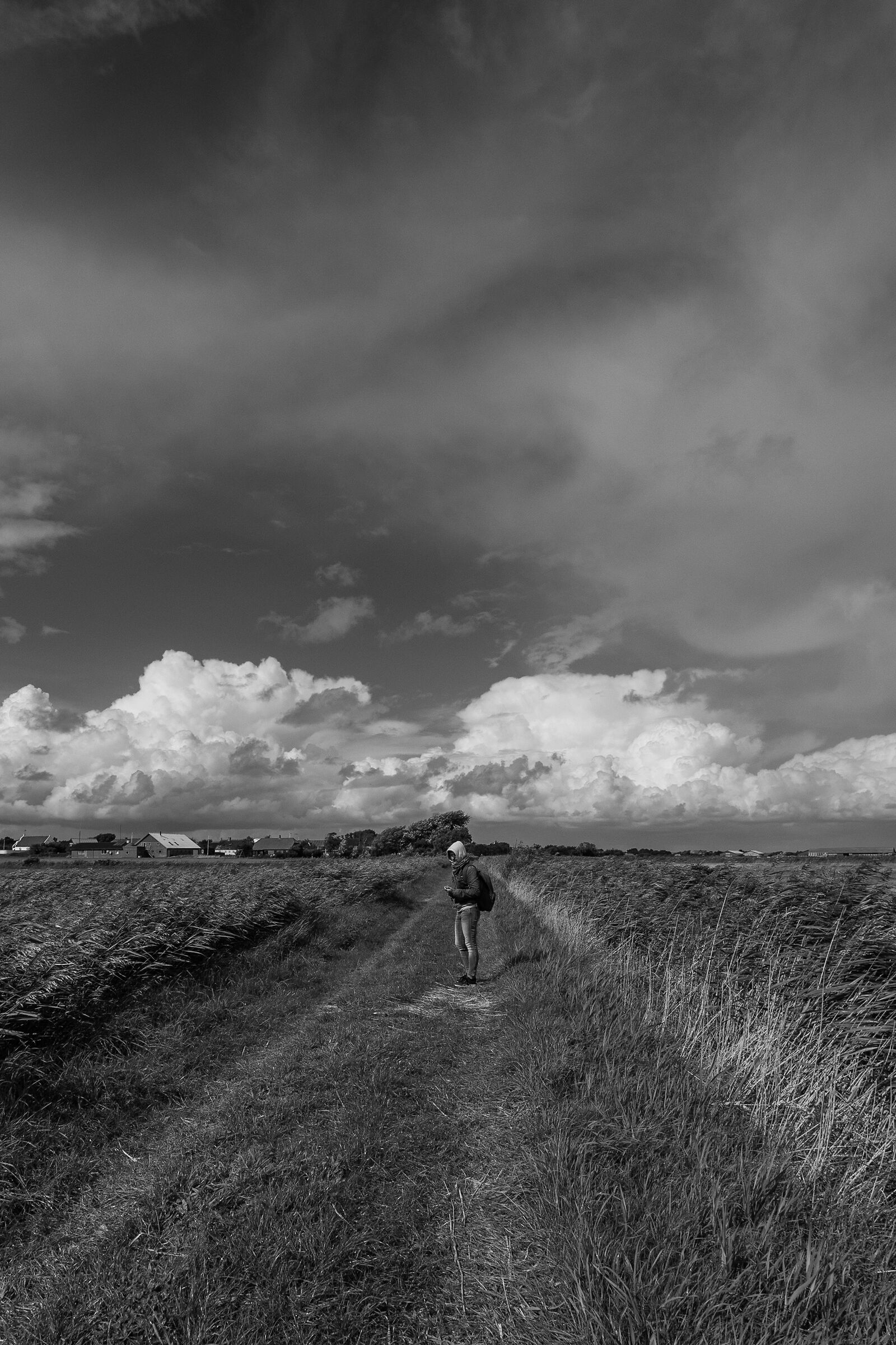 In the middle of the field