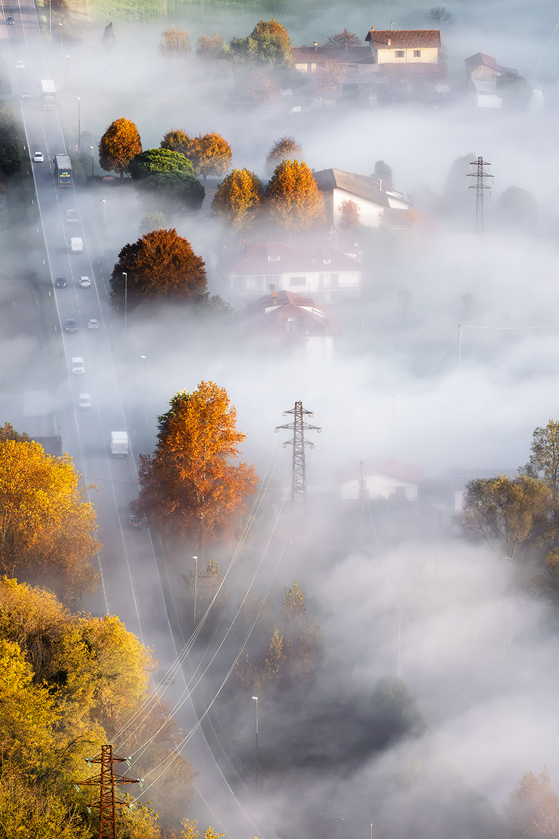 Autumn Confusion