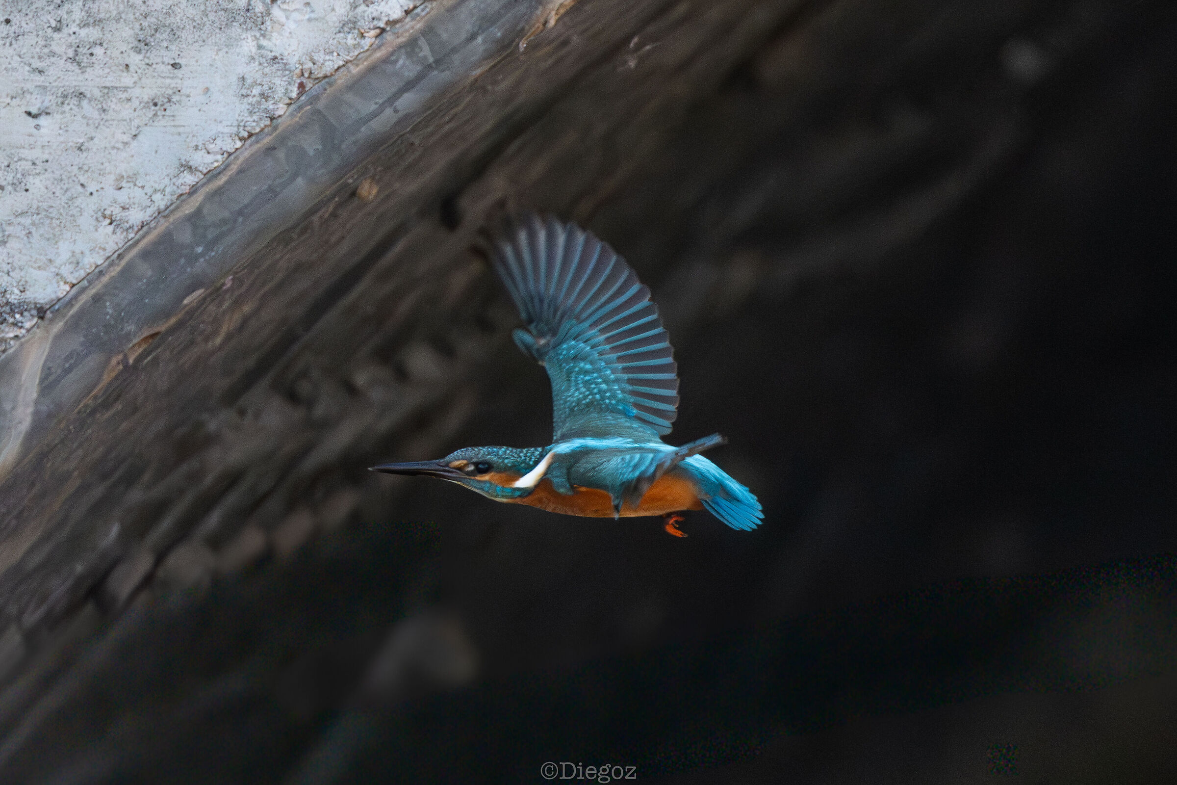 Untitled Photo