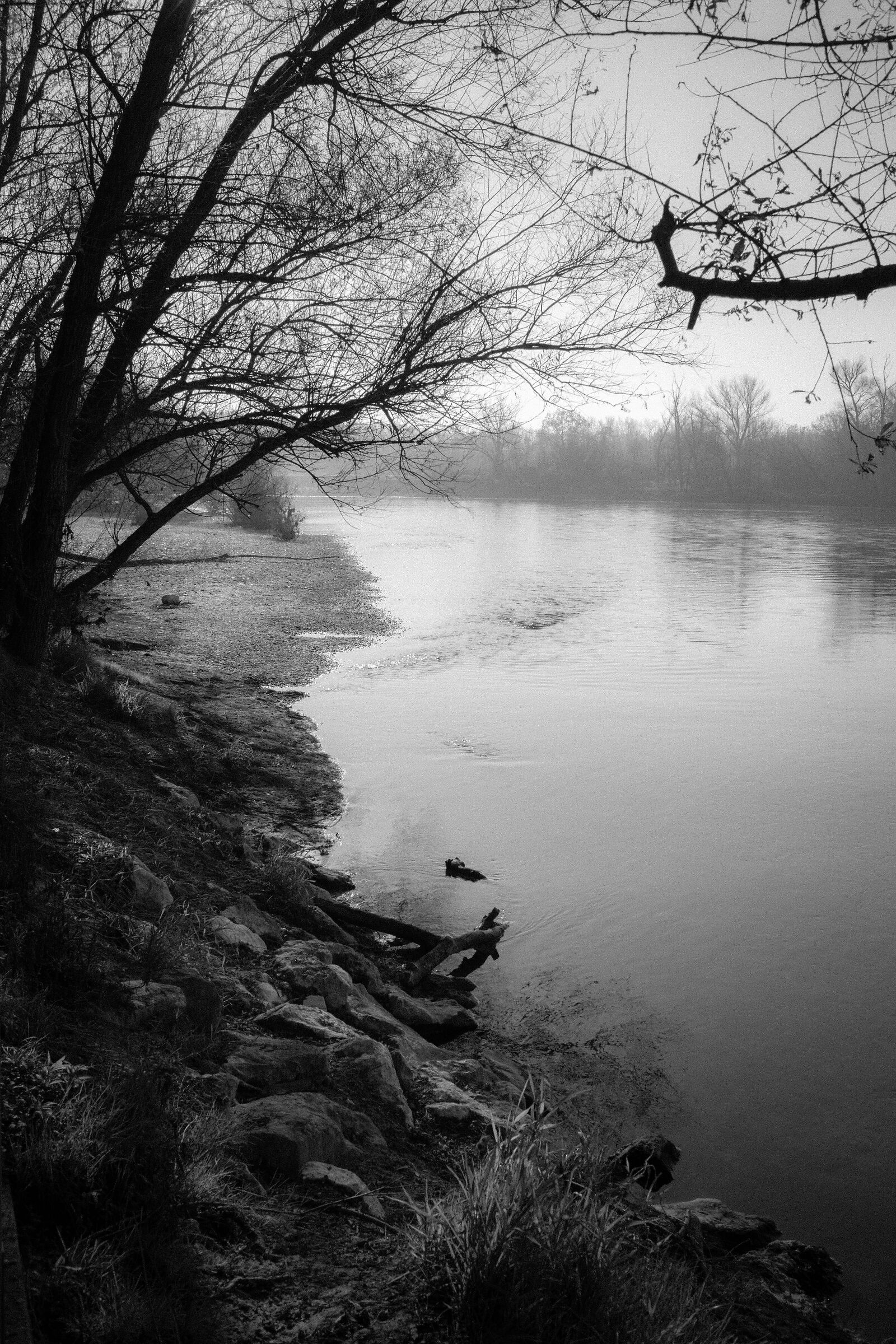 Fredda mattina di fine novembre sul fiume