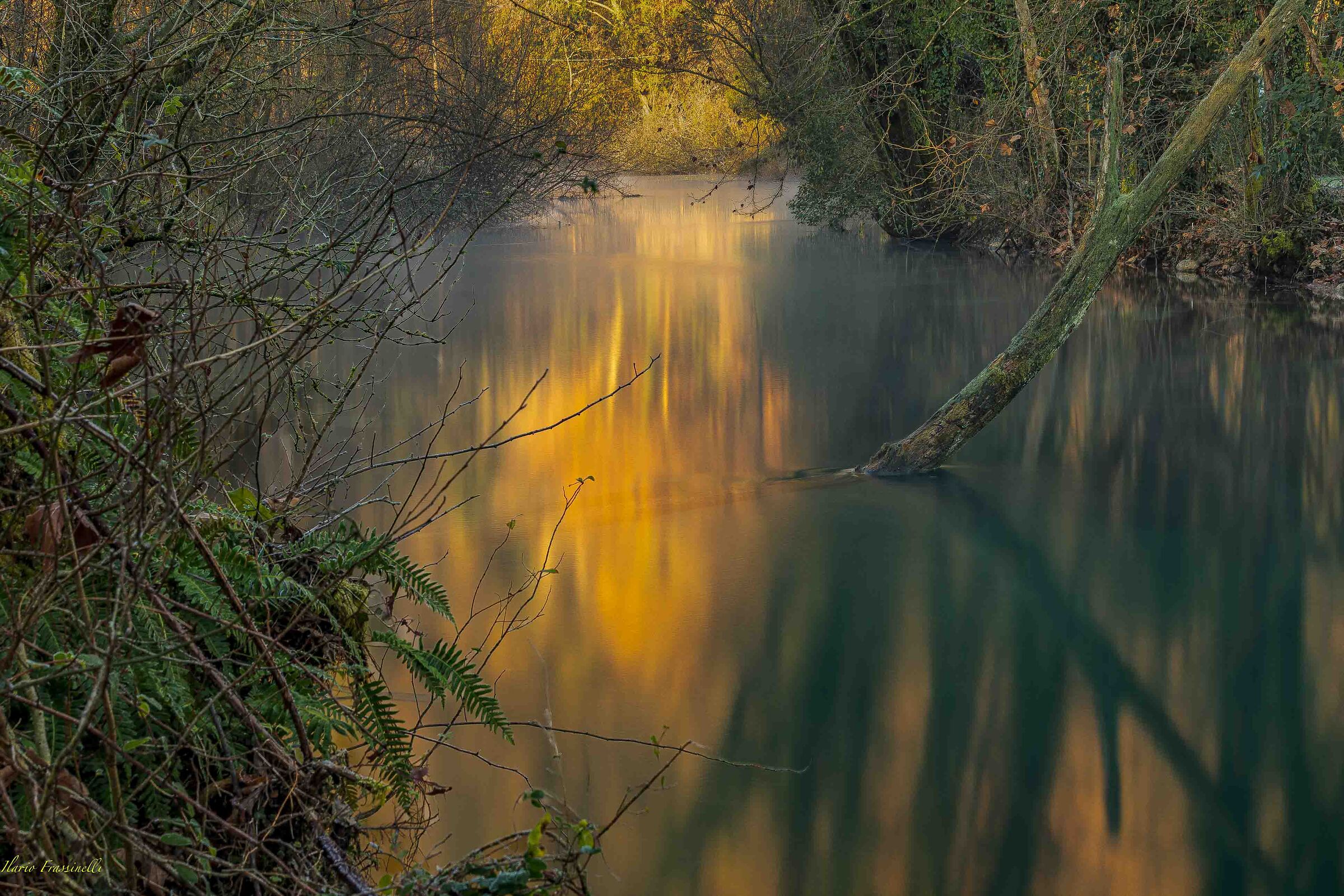 The sun rises and the Livenza is colored