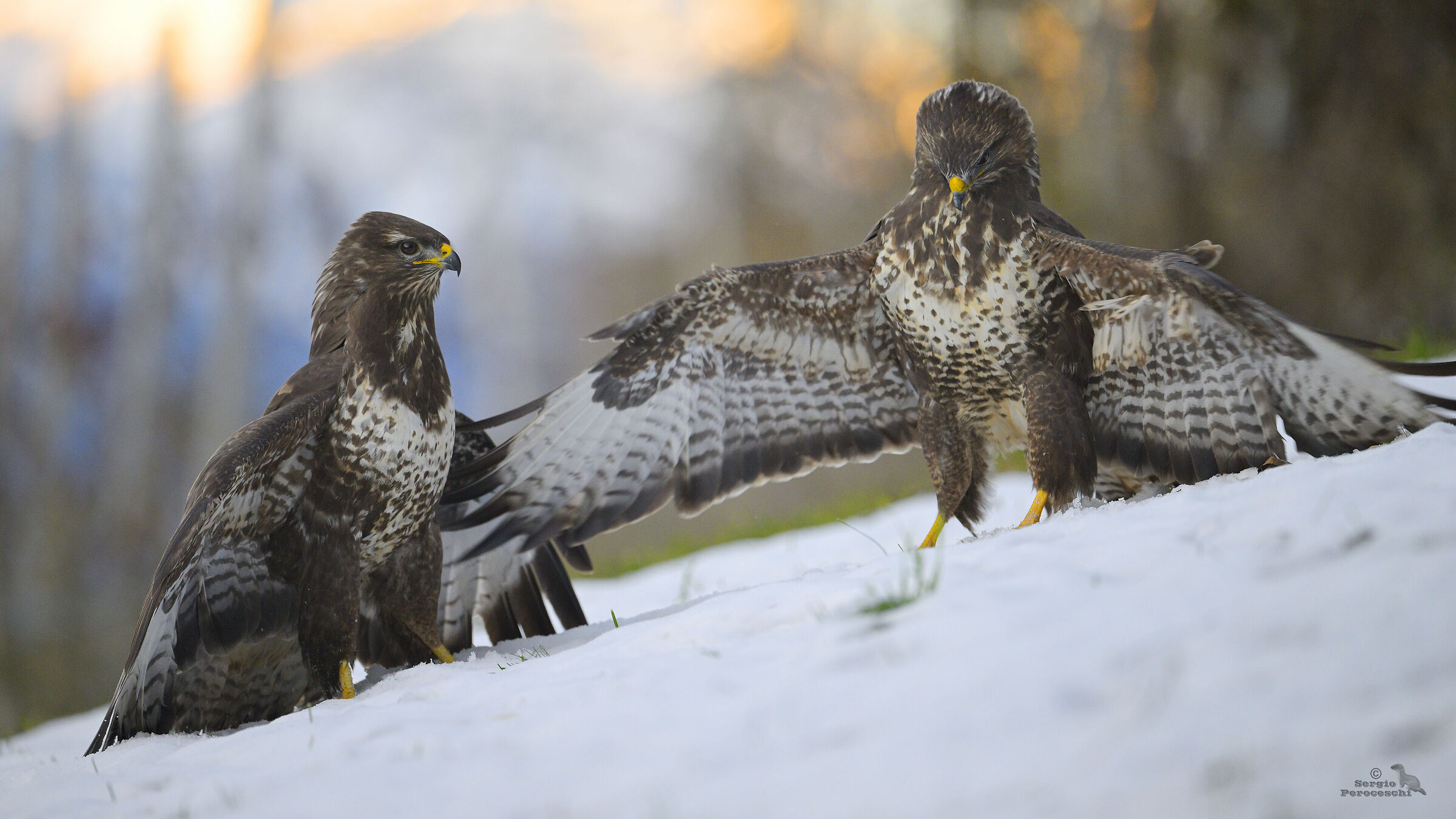 High voltage in the air