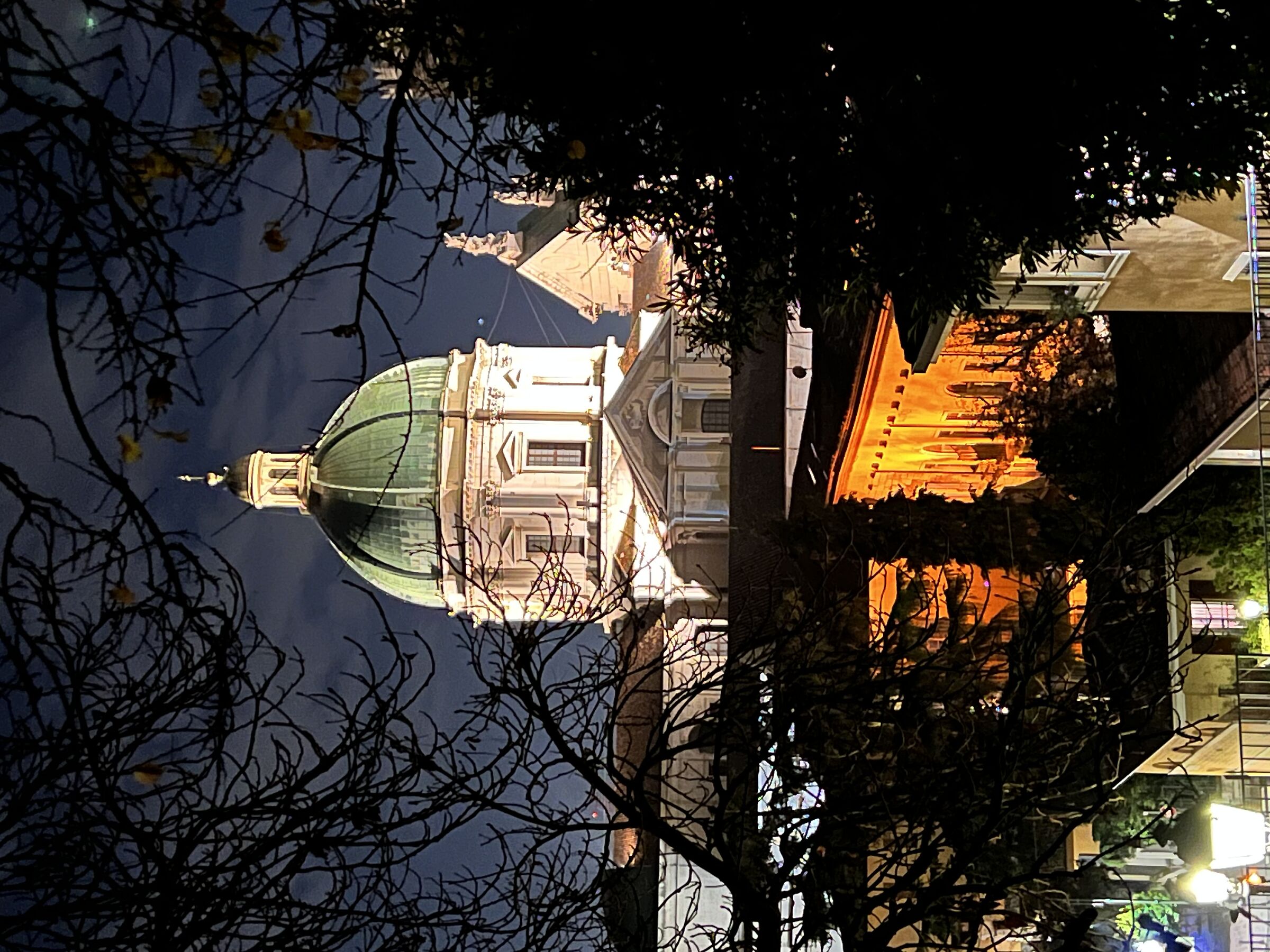 Tra gli alberi…