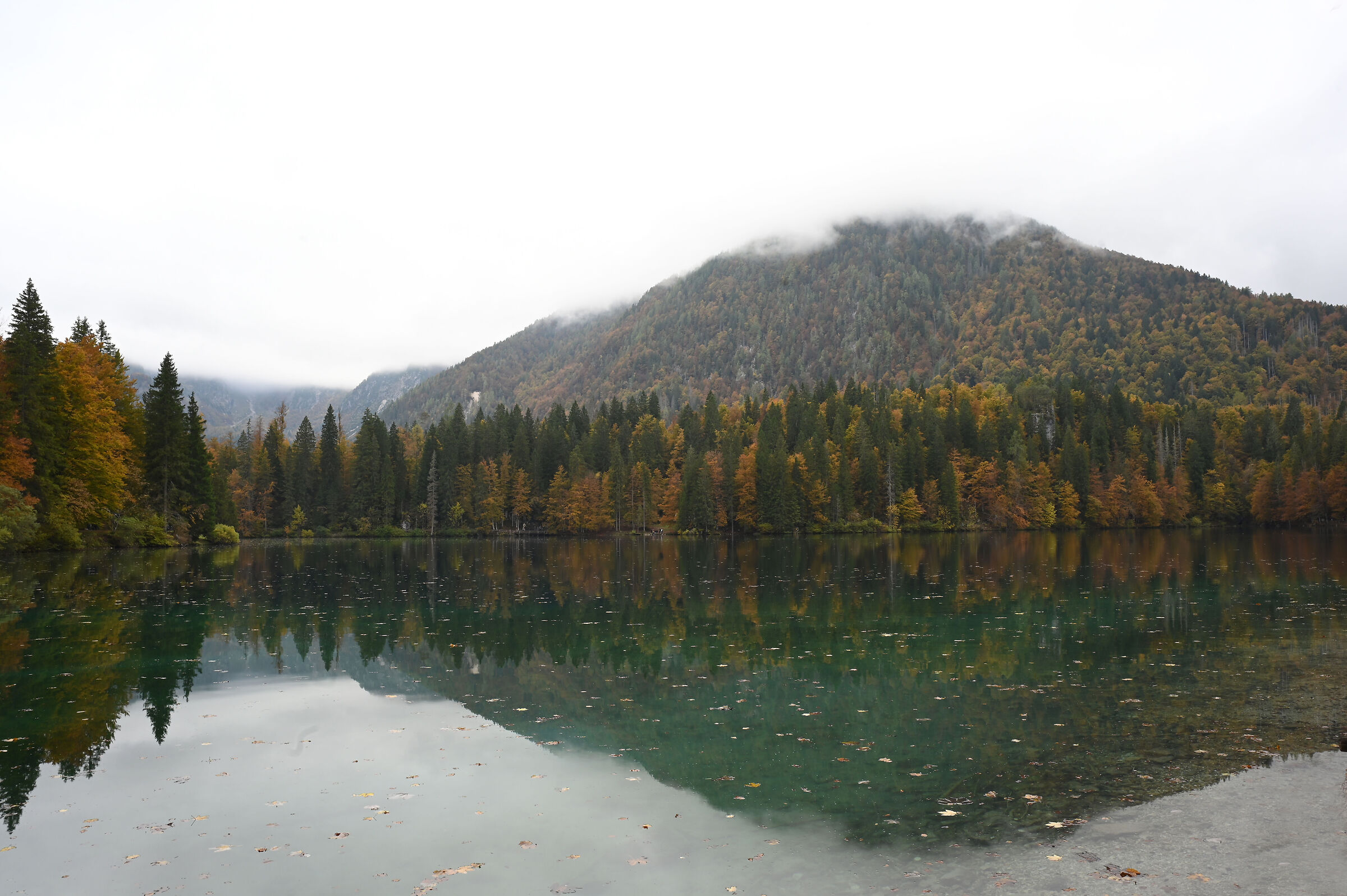 Autunno a Fusine-1