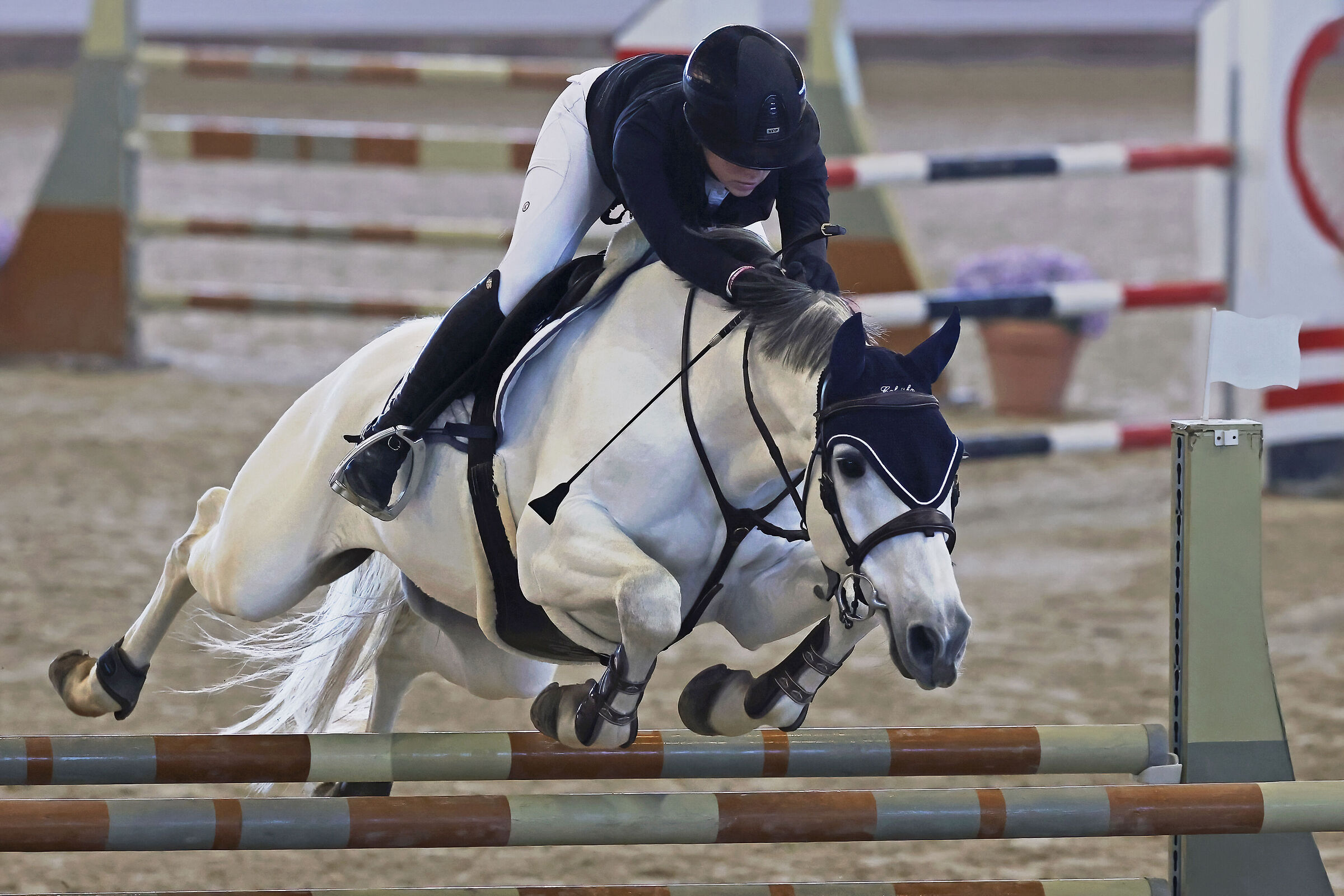 Jumping.. what a spectacle !