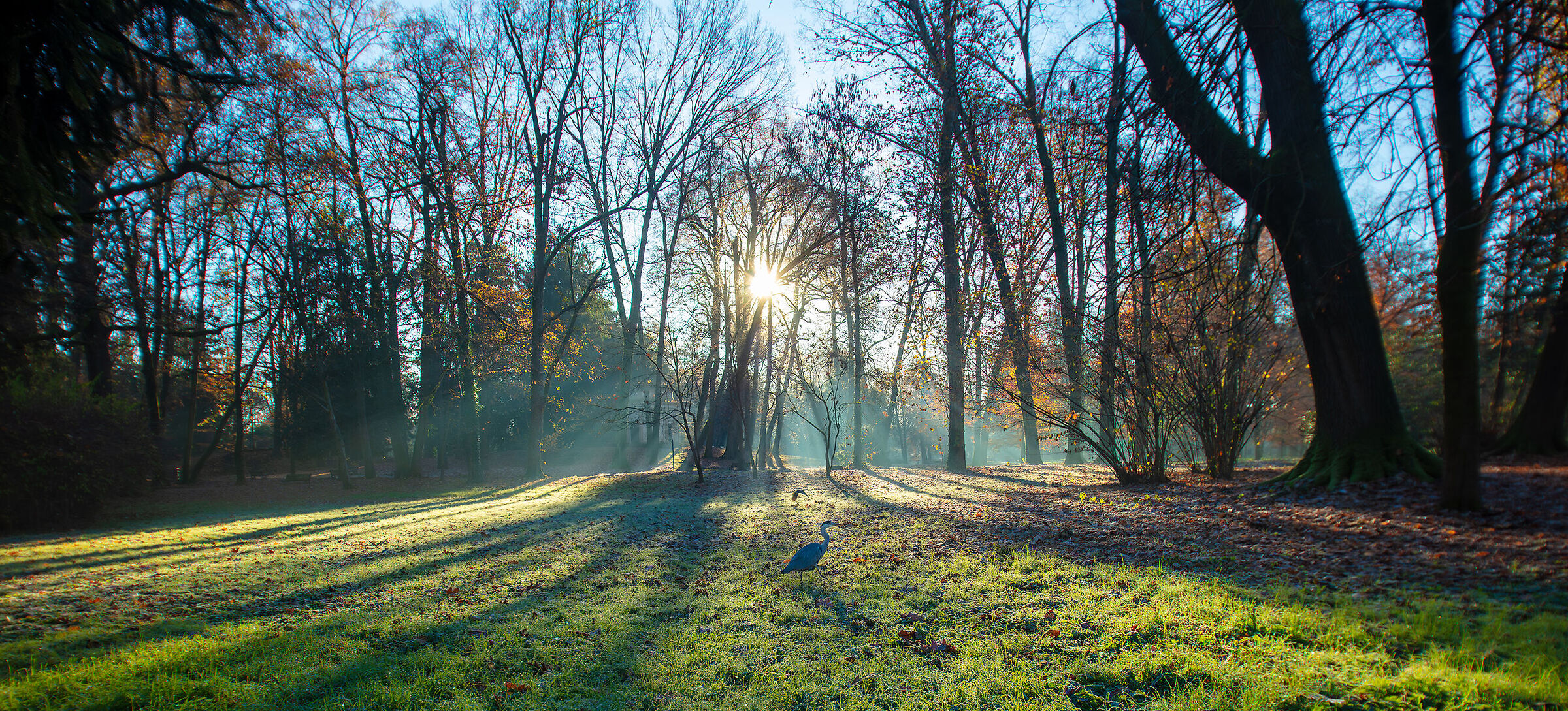 Una mattina autunnale in villa Reale