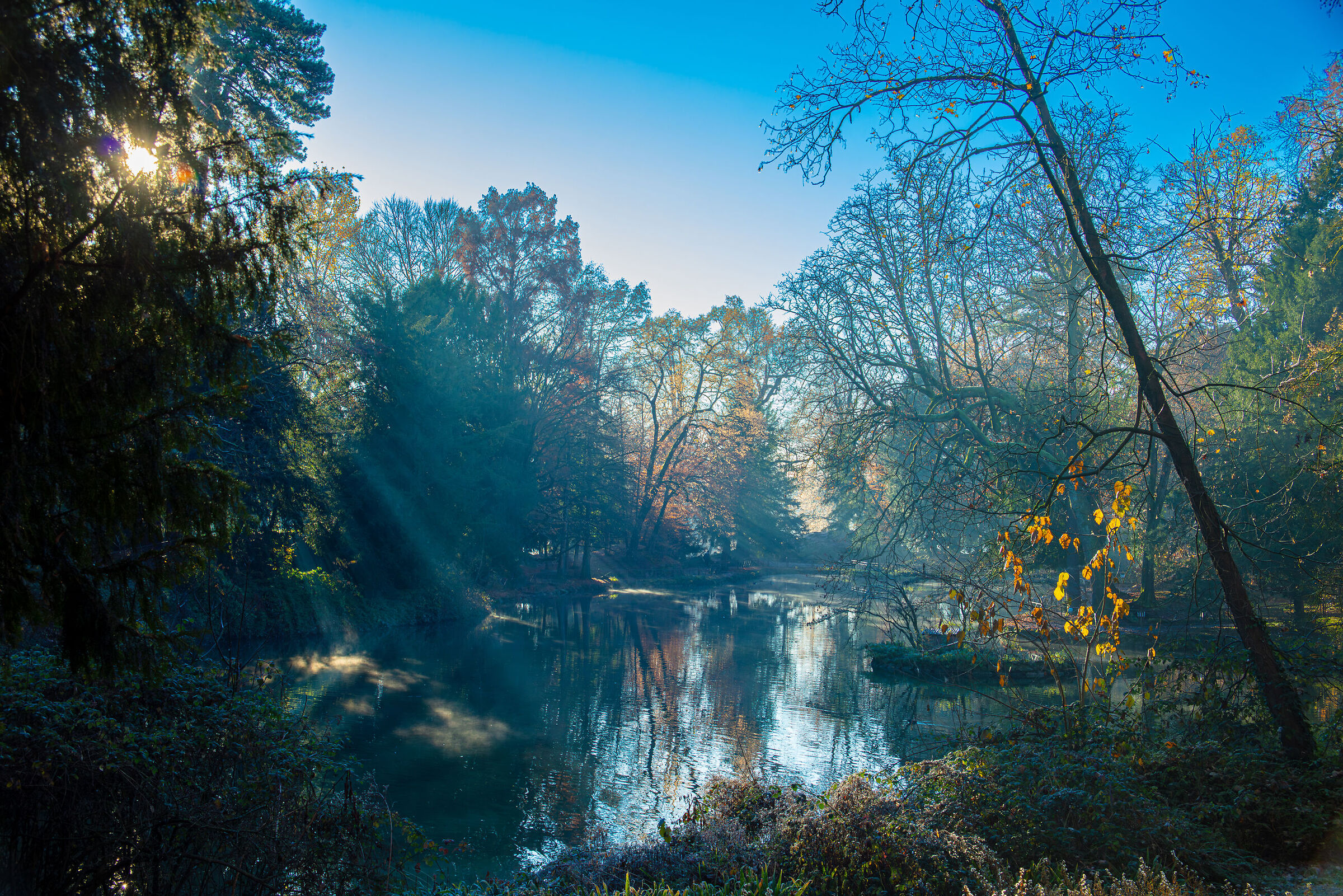 An autumn morning in the Royal Villa