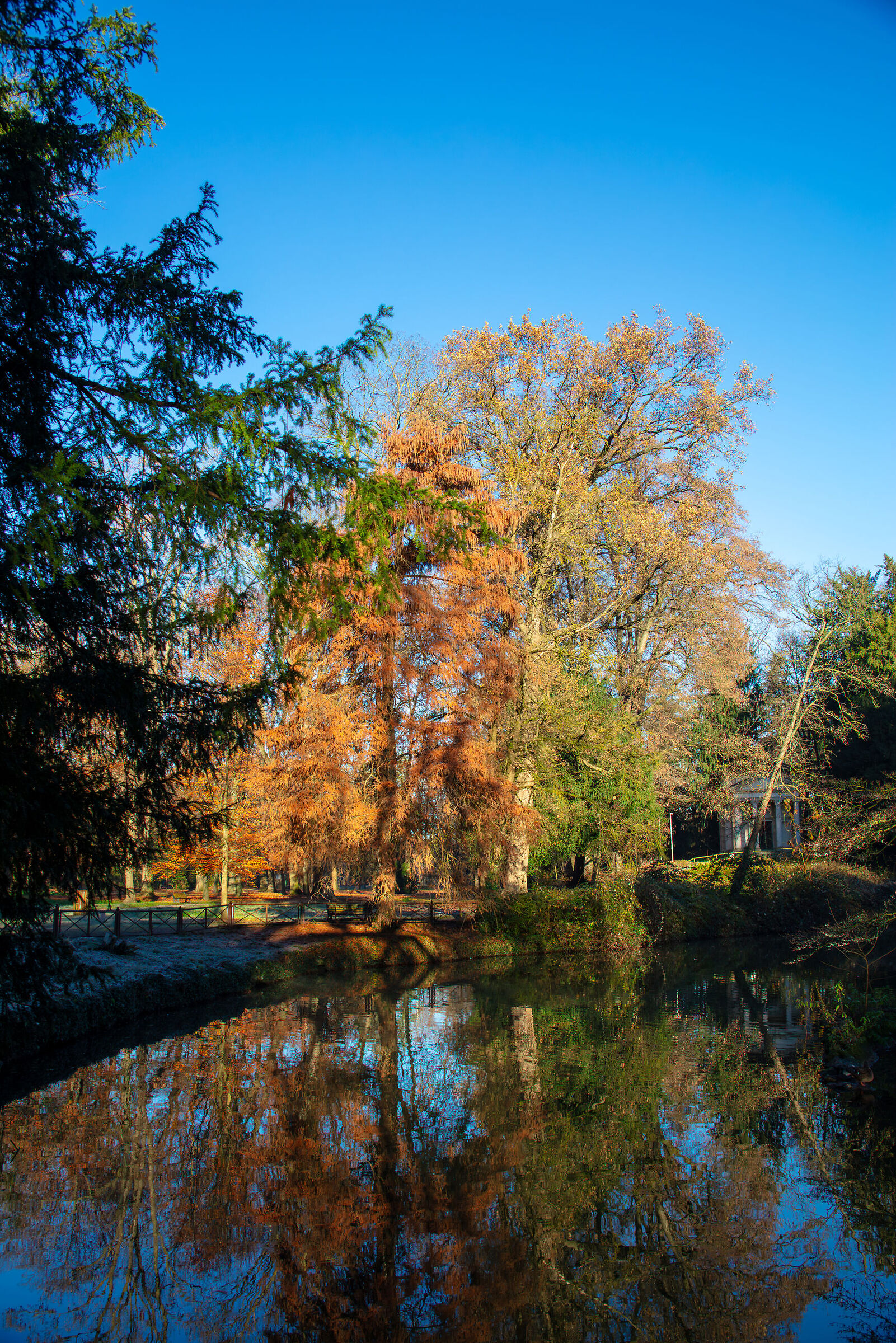Una mattina autunnale in villa Reale