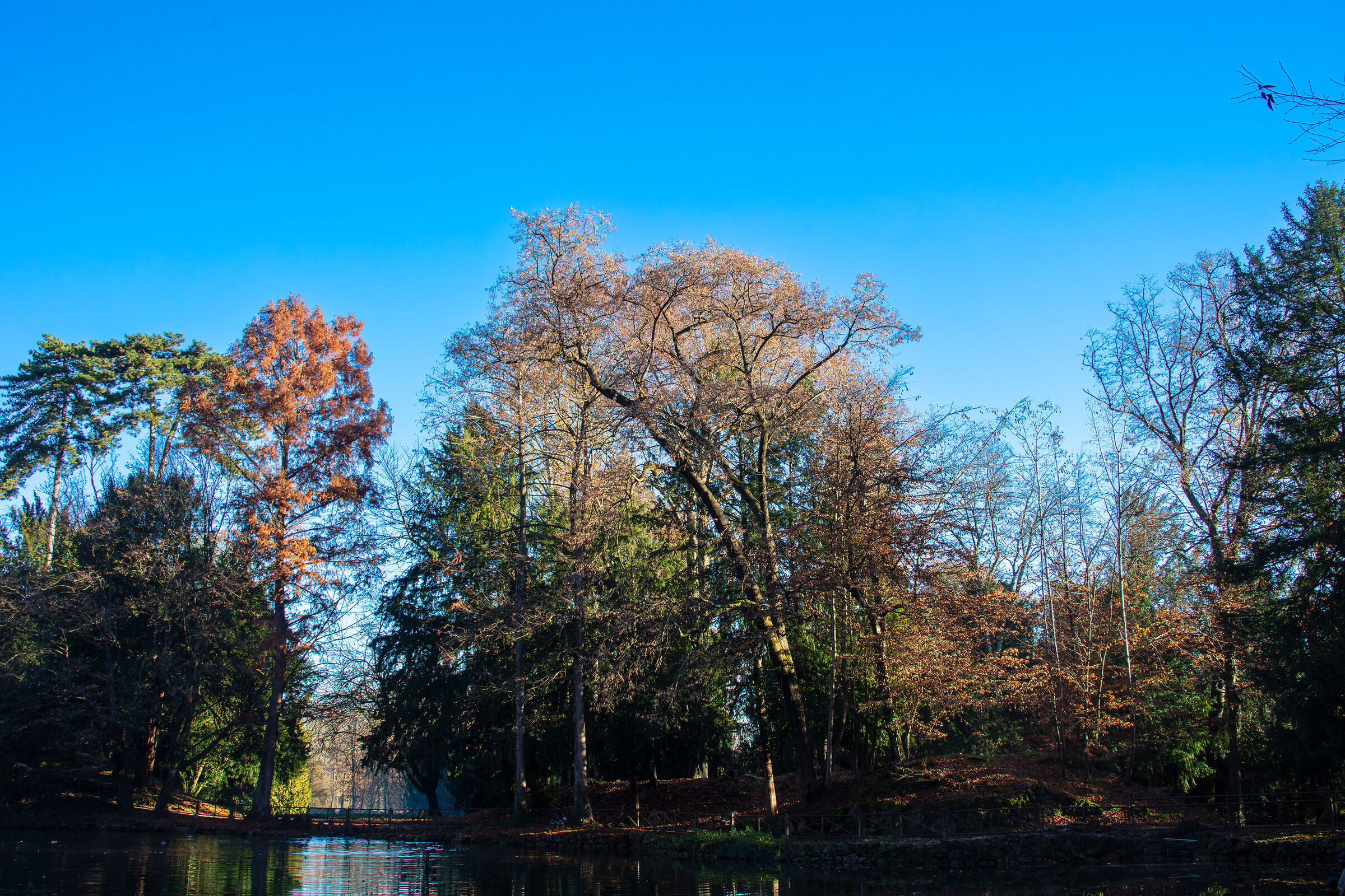 Una mattina autunnale in villa Reale