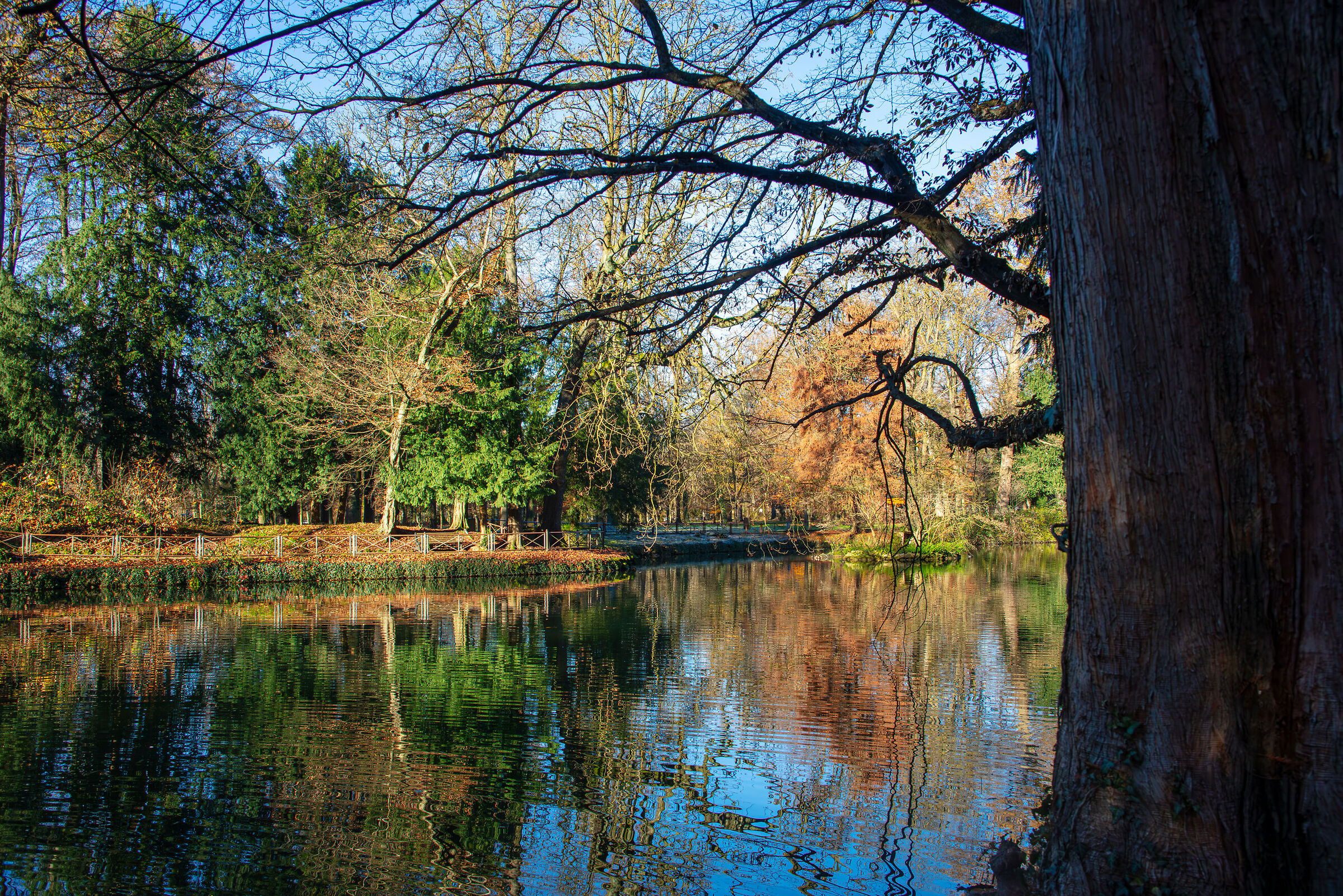 Una mattina autunnale in villa Reale