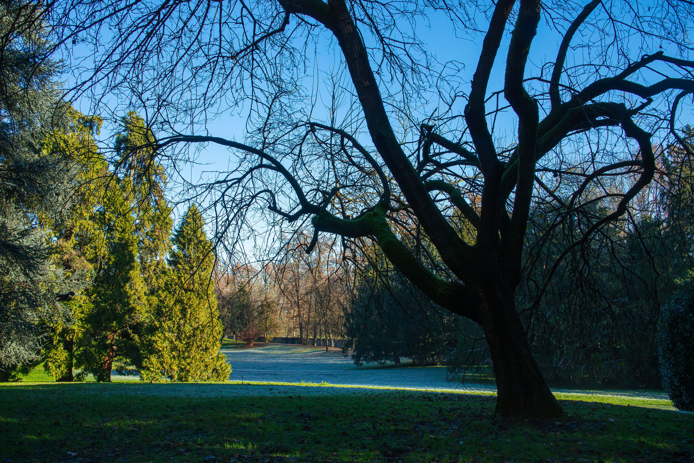 An autumn morning in the Royal Villa