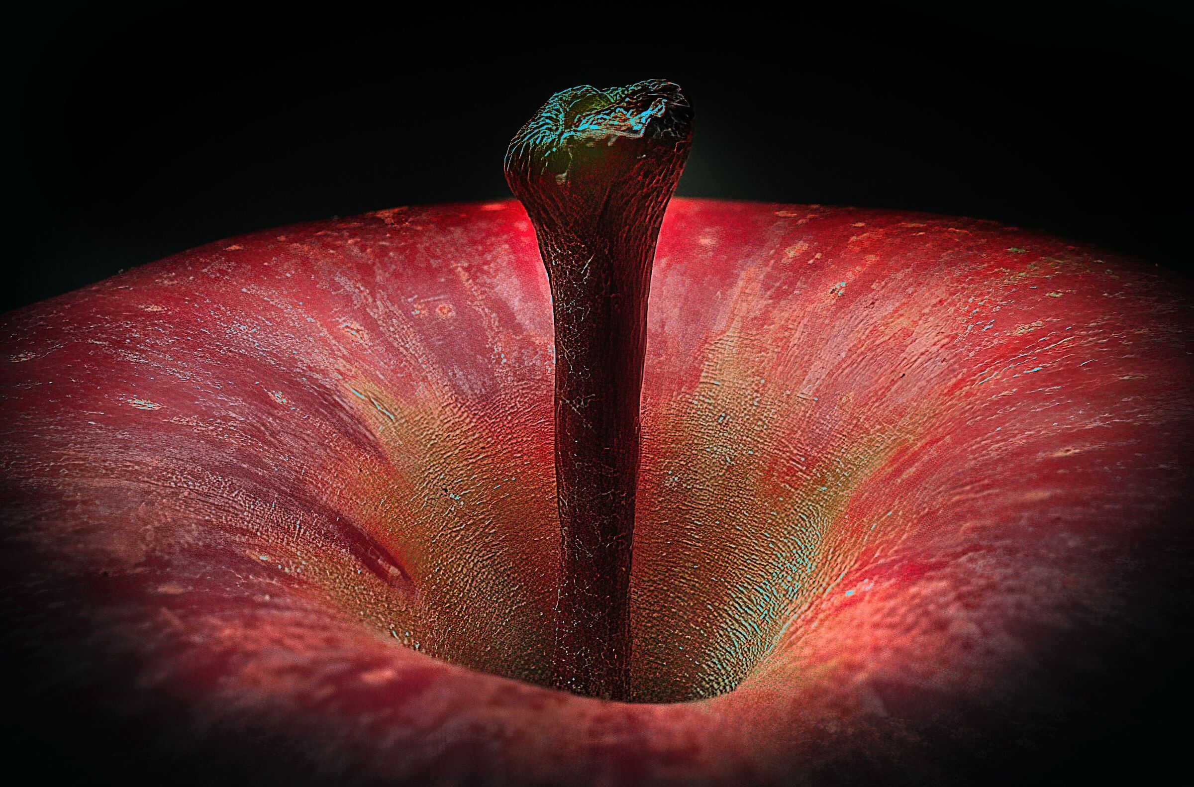 Pedicle cavity