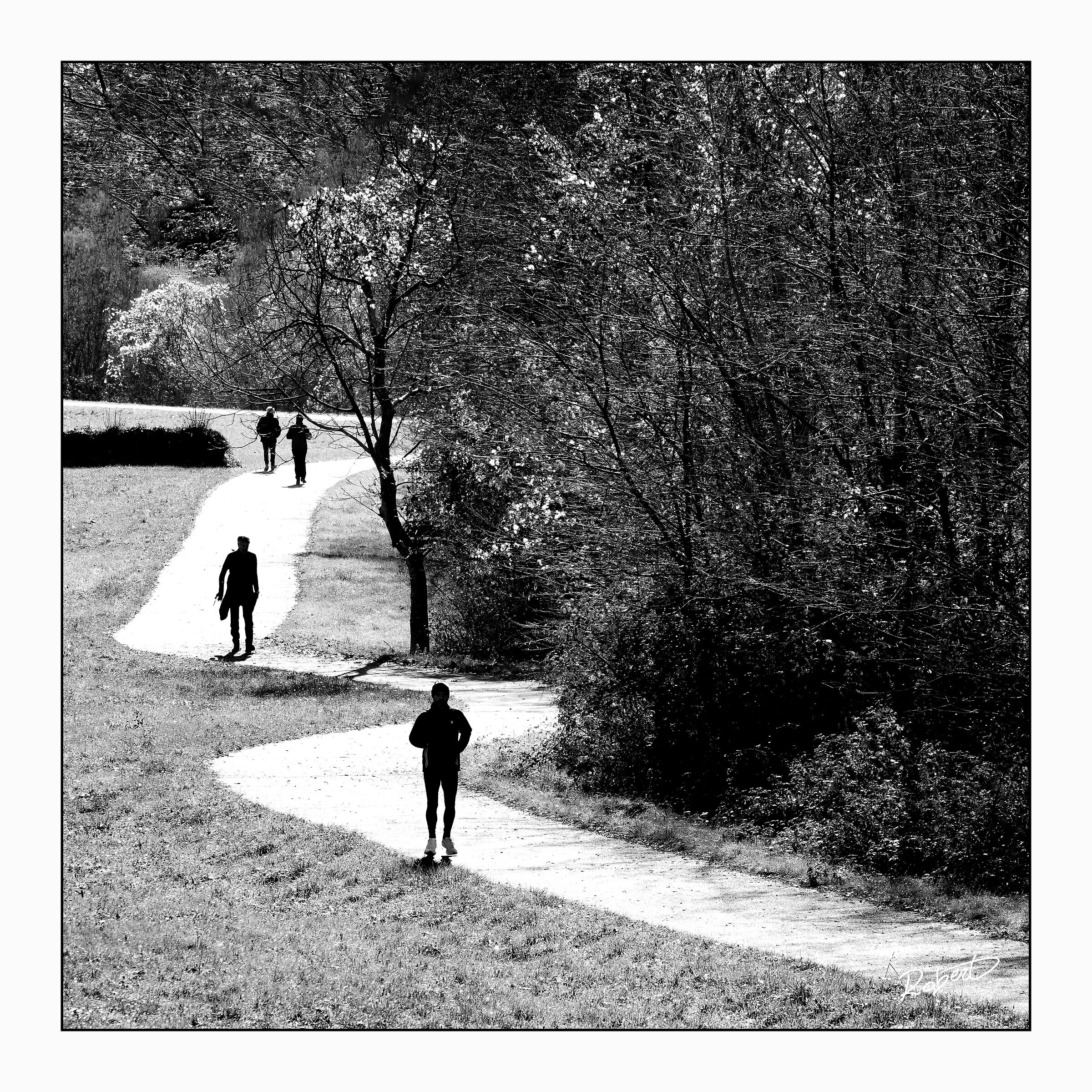 Ciclabile Val d'Illasi