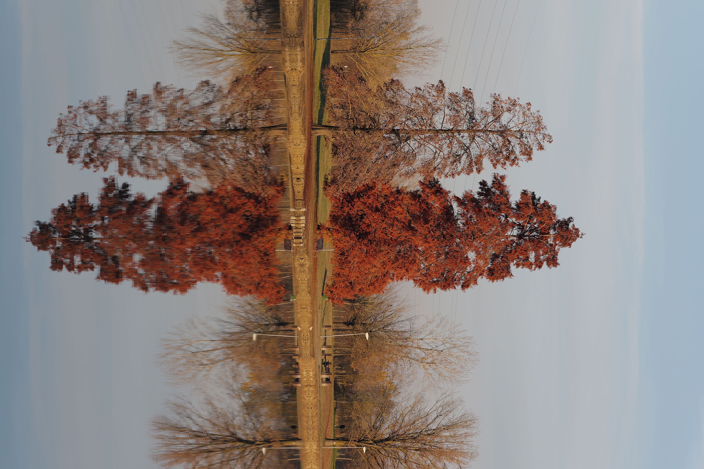 Riflessi
