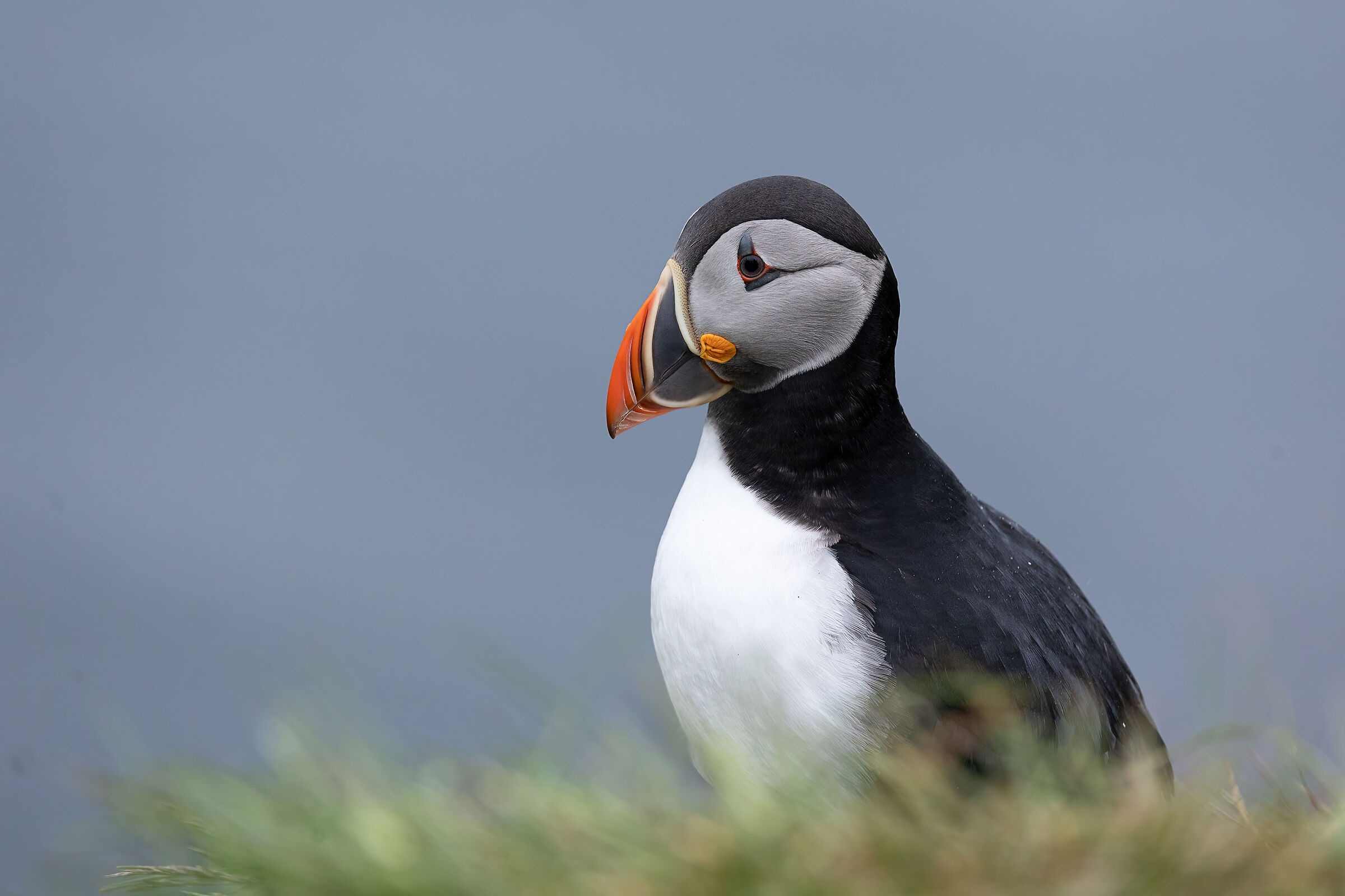 Nostalgia for Iceland