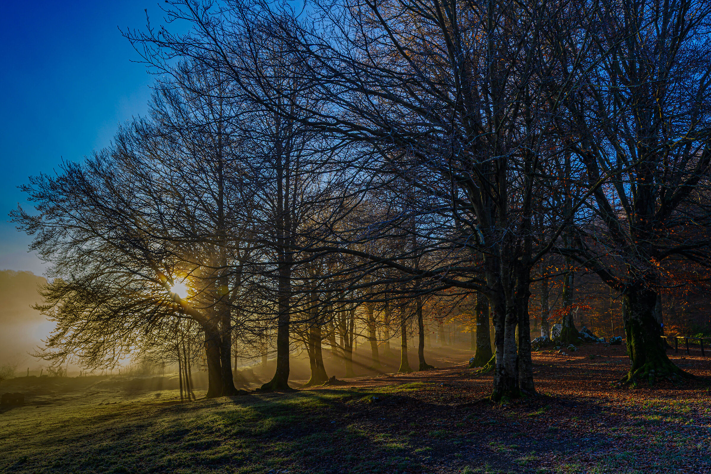 Alba - Matese National Park