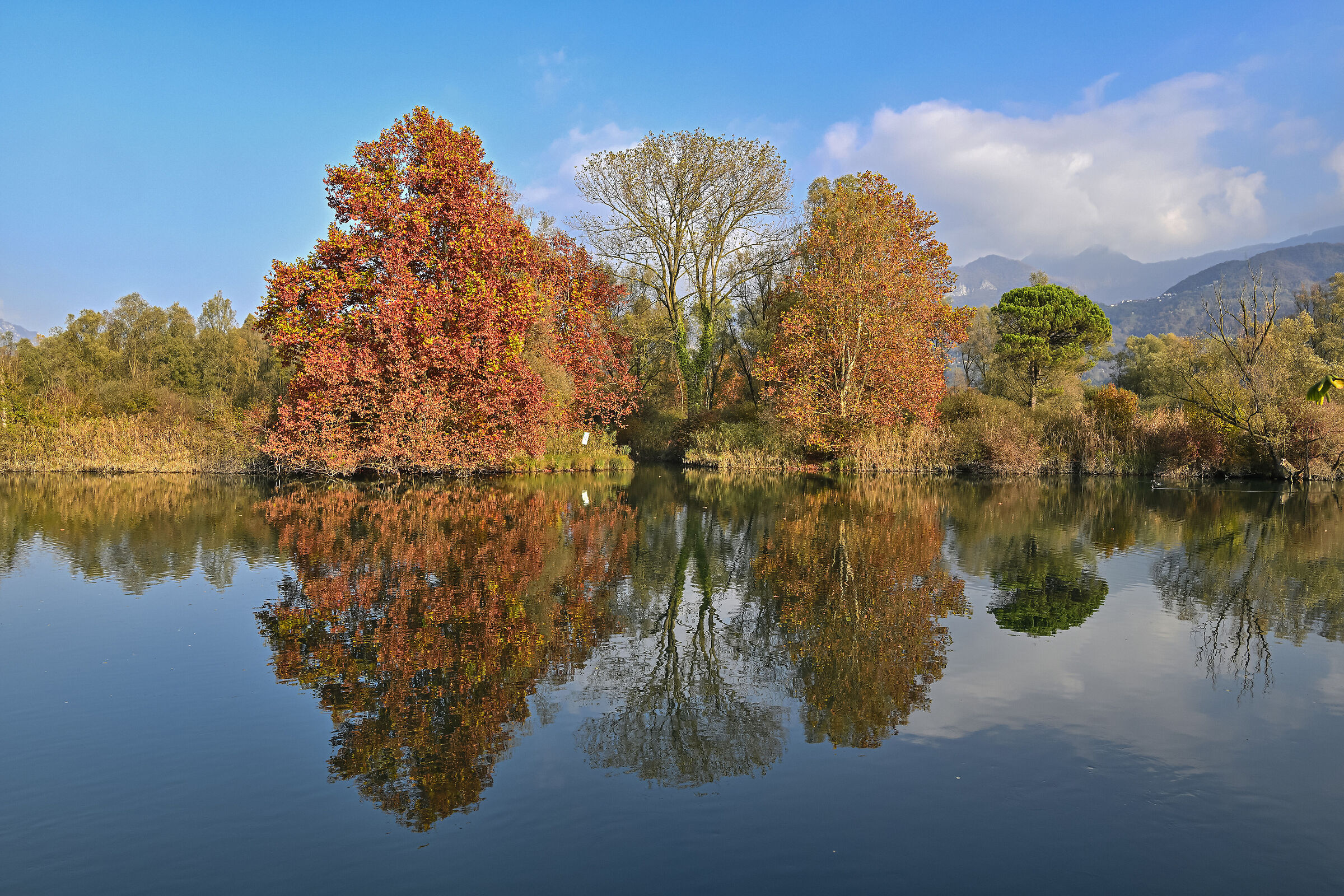 Parco Adda nord