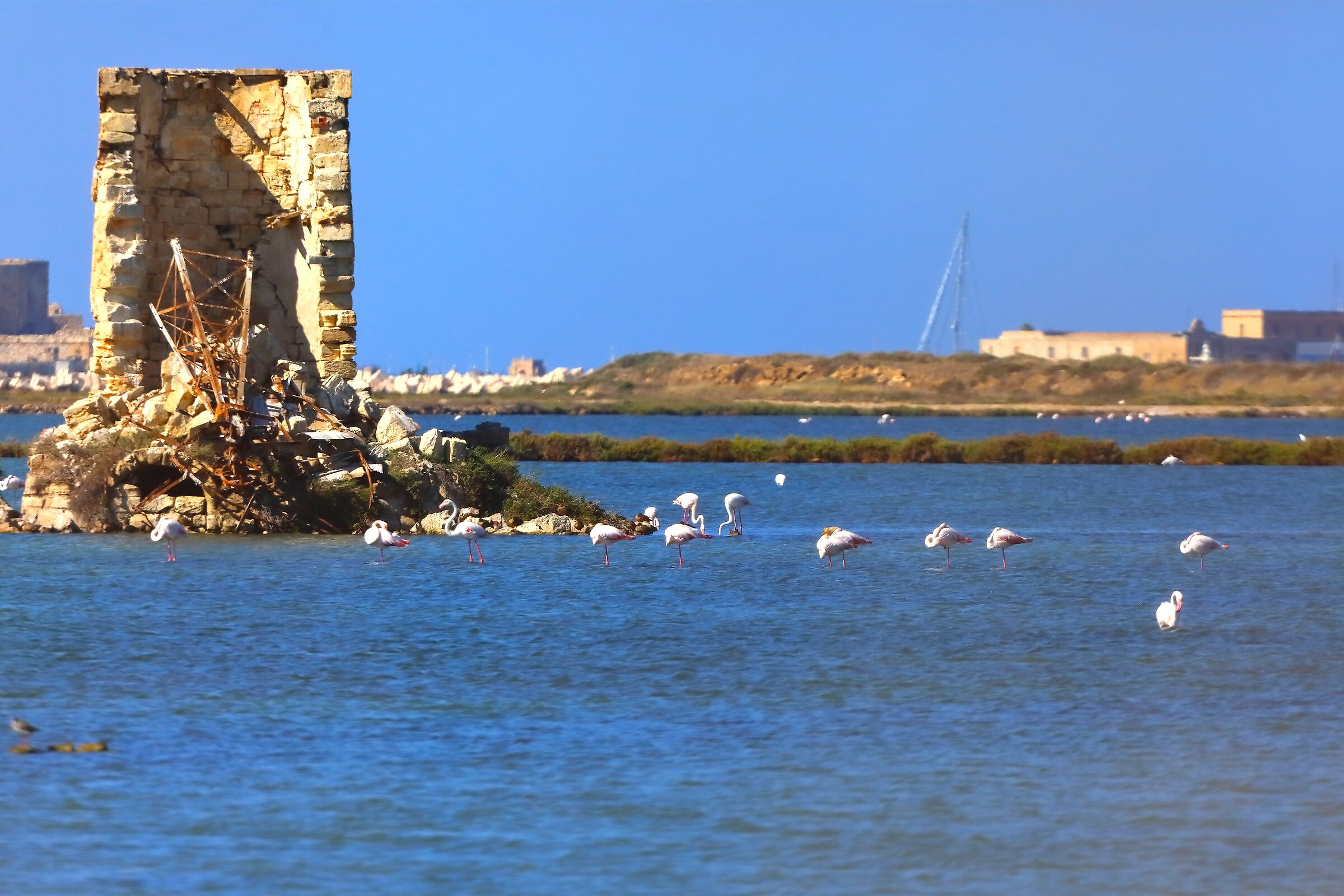 Veduta 05 ottobre 2025 - 0259