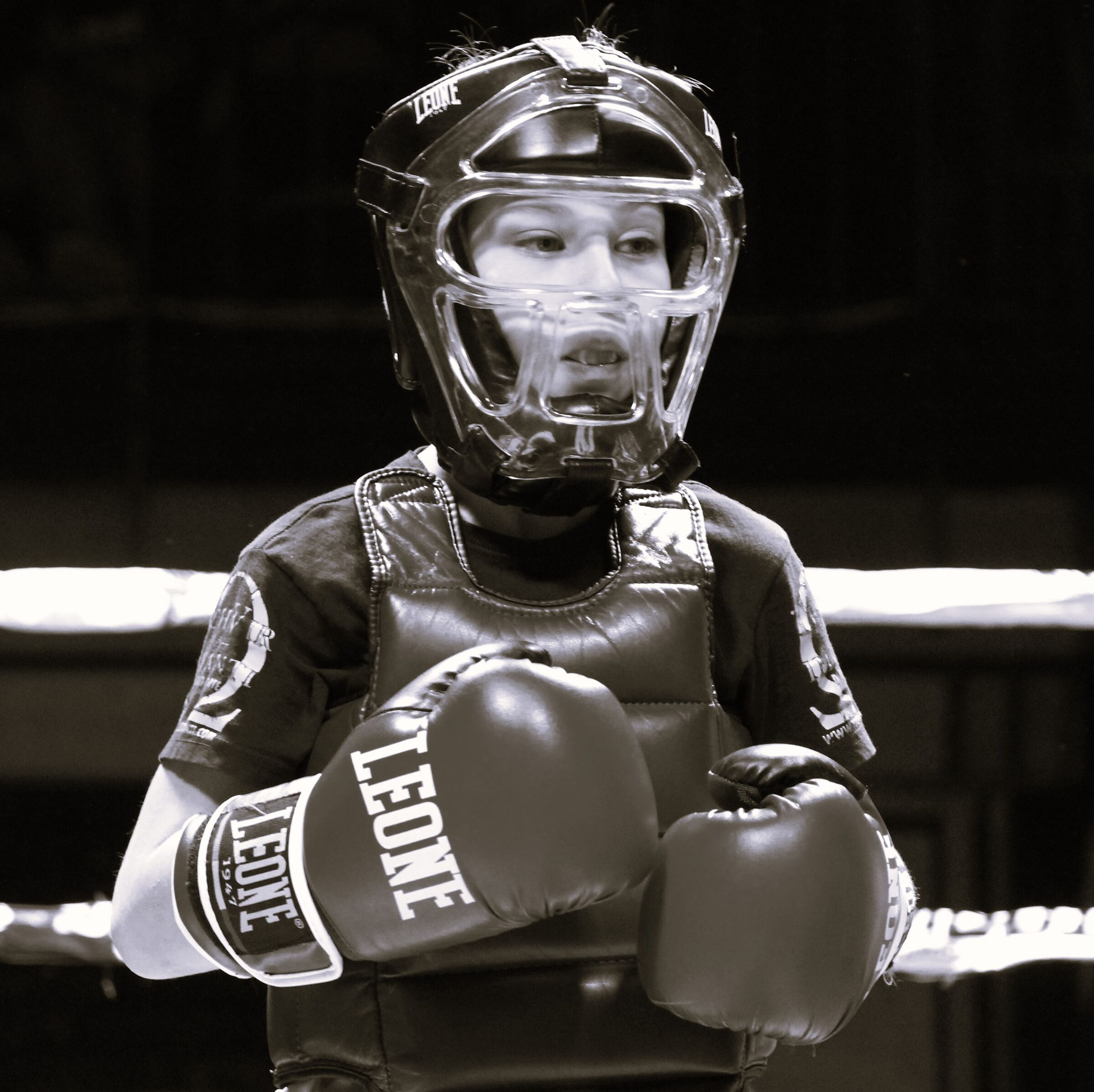 Fighting Spirit - Leo