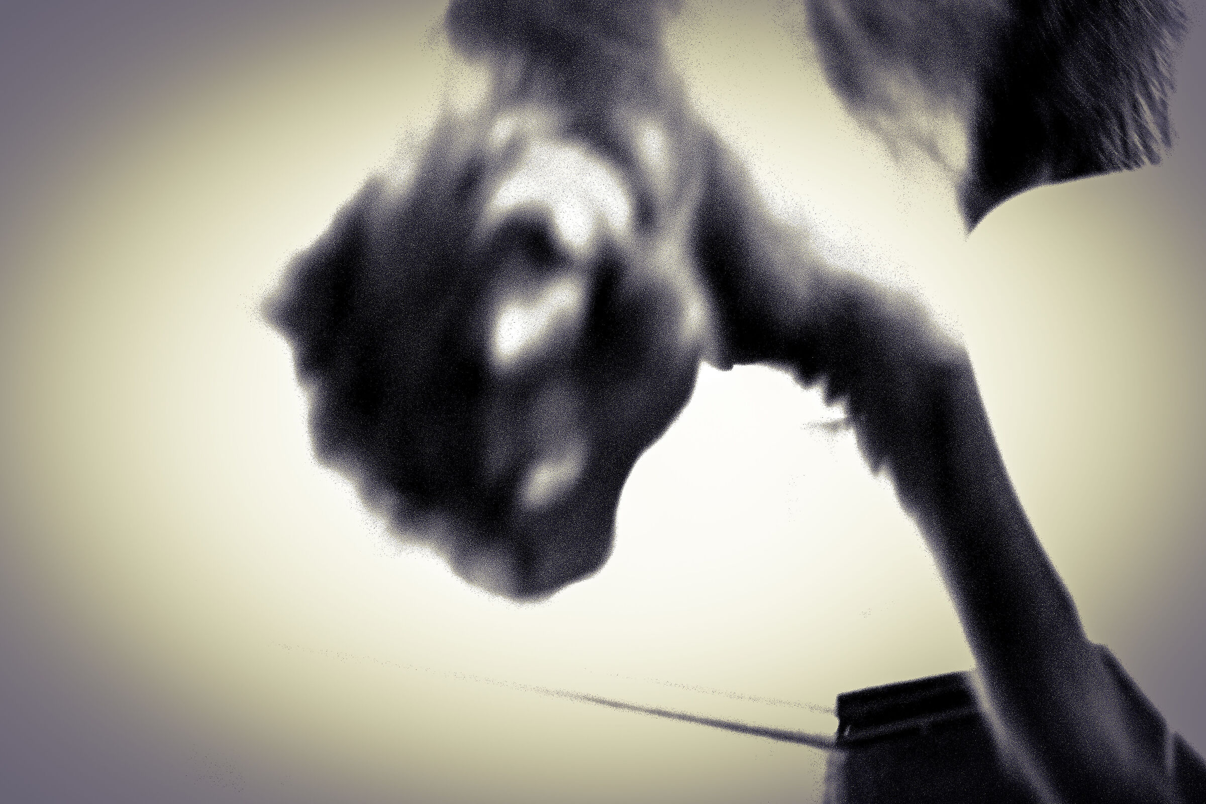 Spooky Cat
