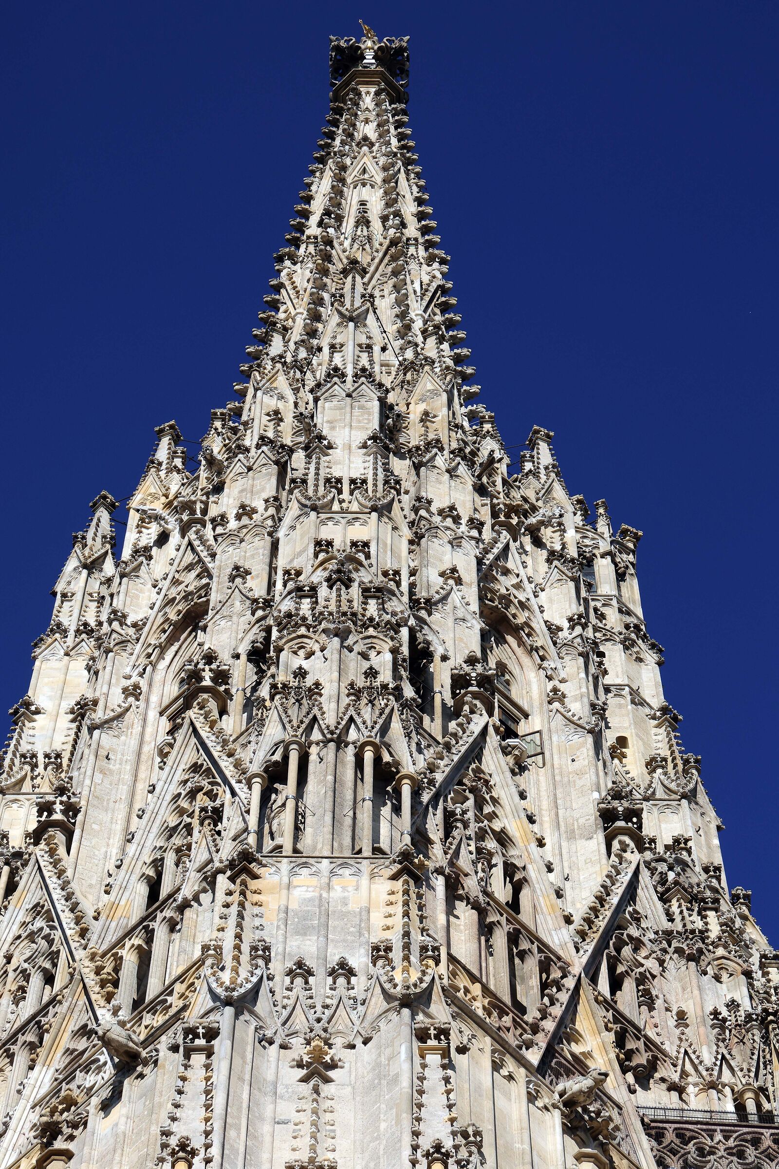 Detail of the bell tower of the cathedral.