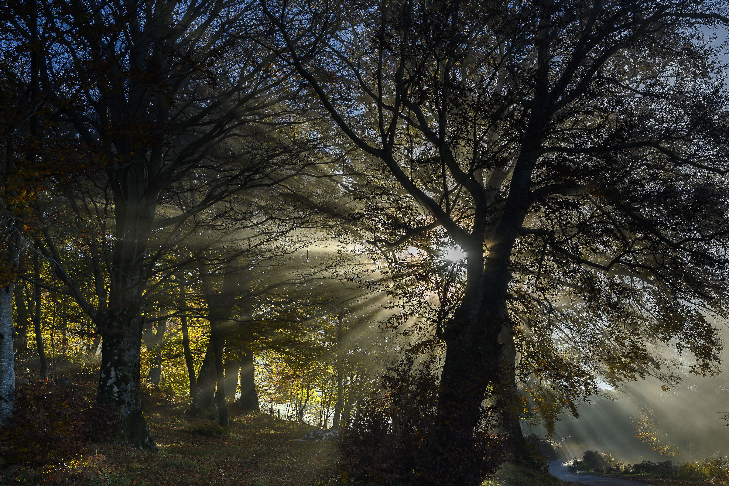 Sunrise in the Matese National Park
