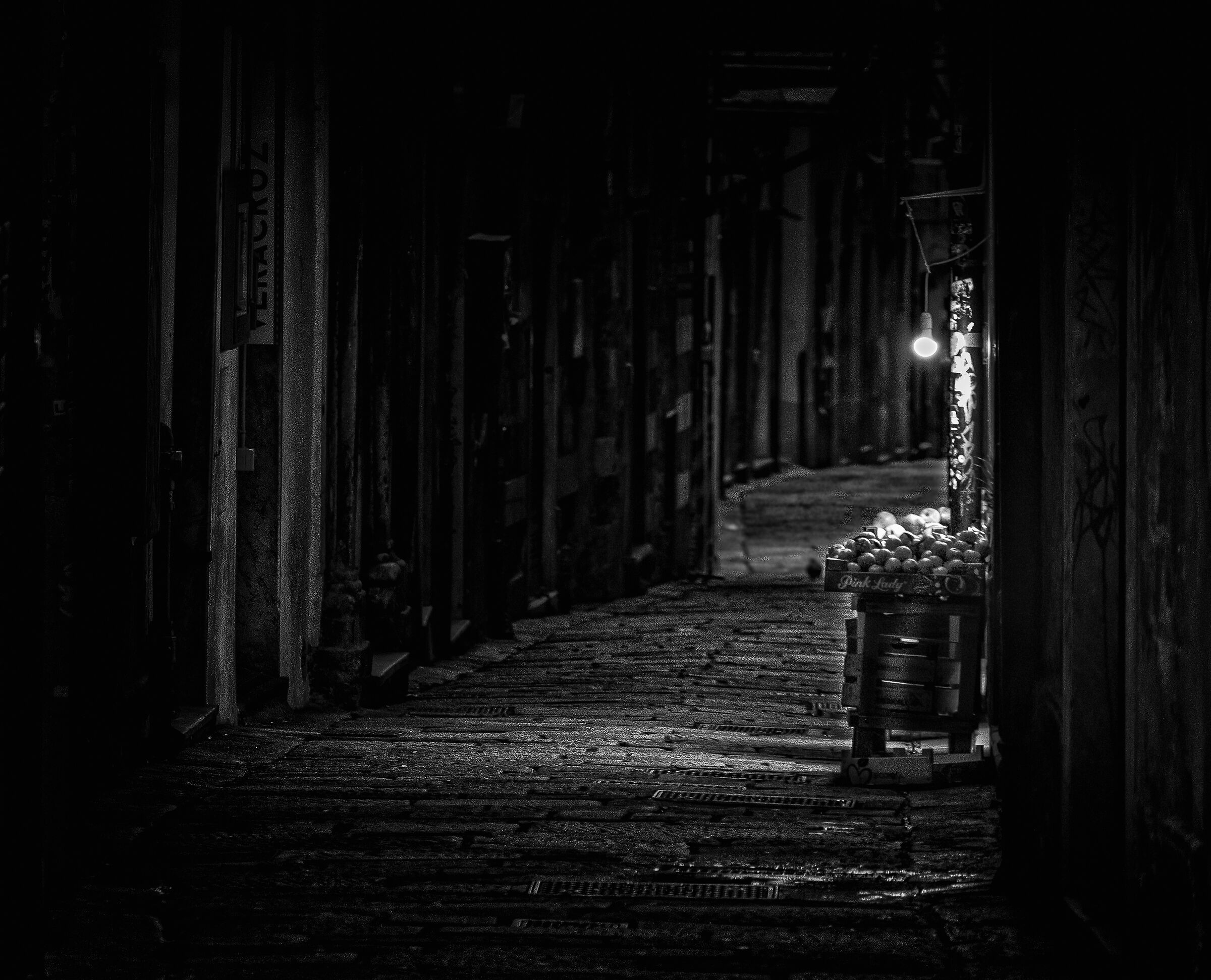 "y love caruggi" vita nei vicoli di Genova