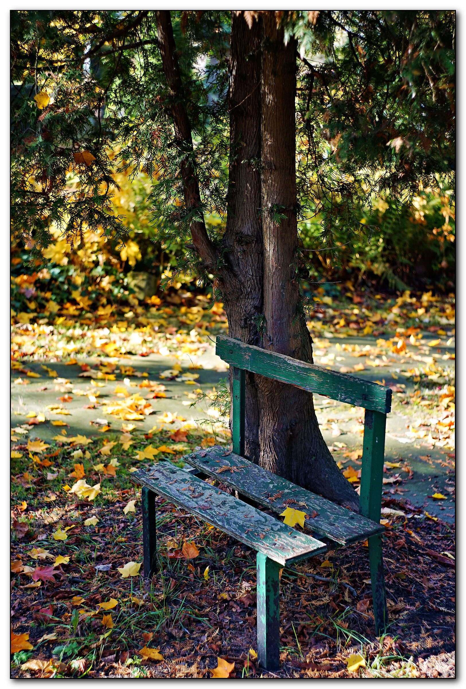 Una piccola panchina cimiteroale
