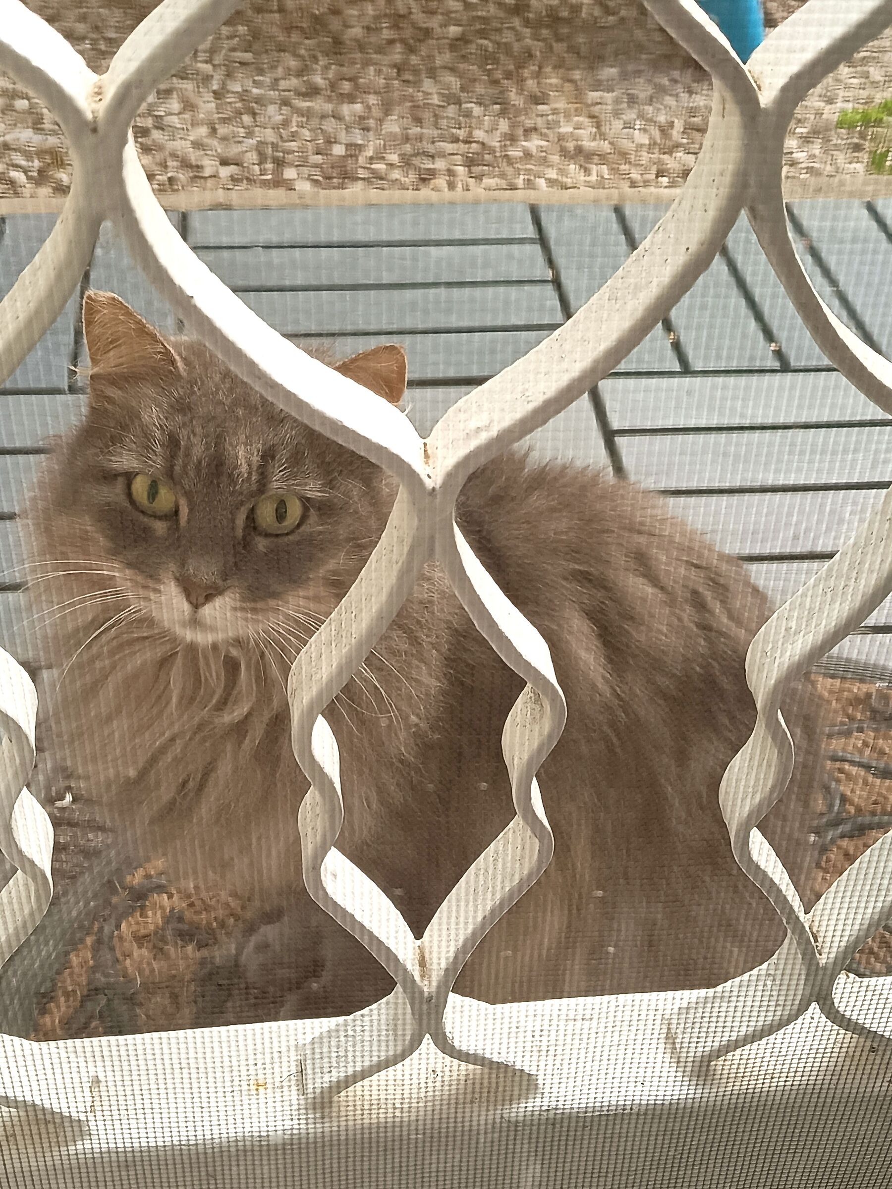 Waiting for the opening of the canteen