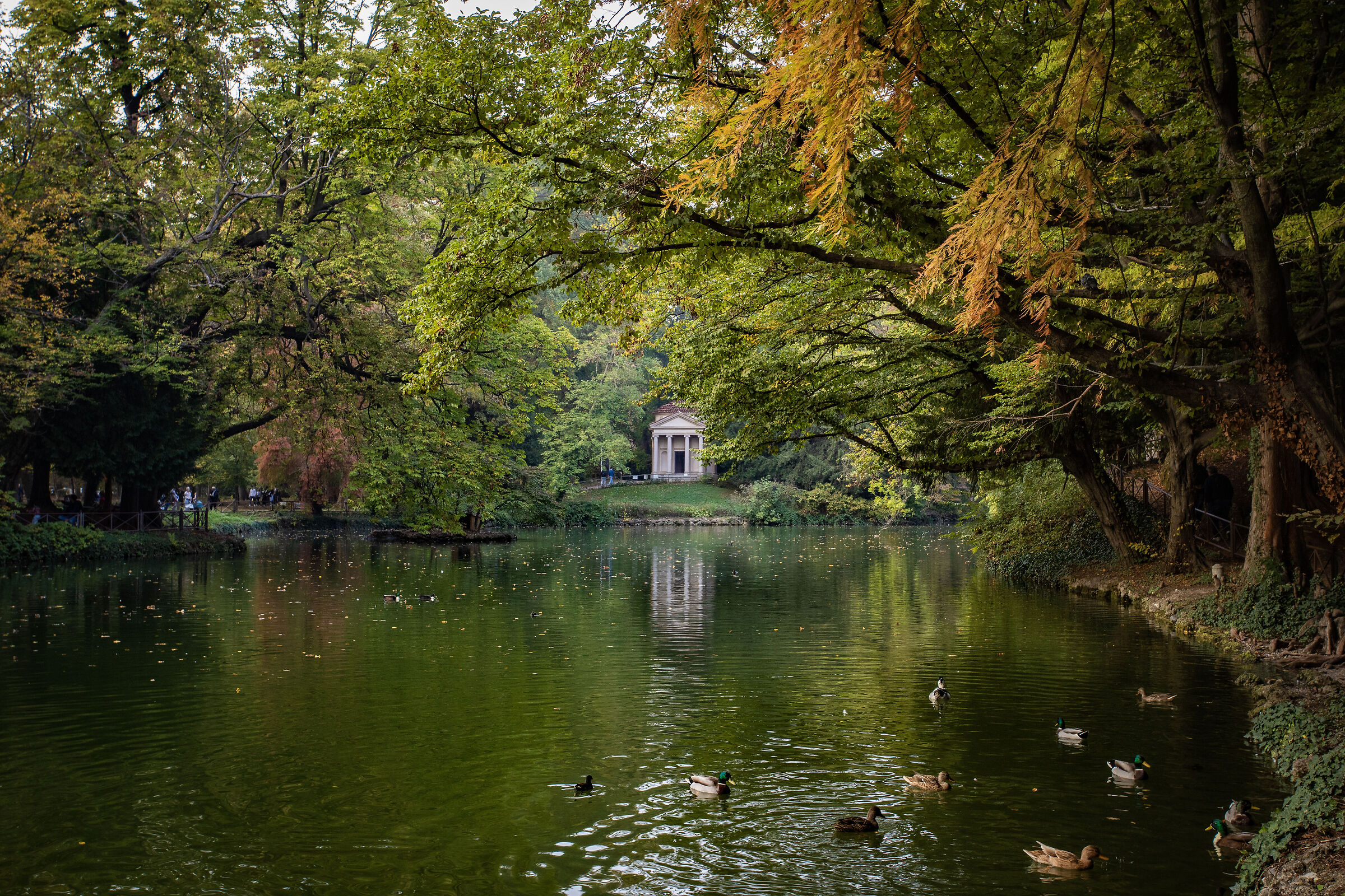 Laghetto di Villa Reale