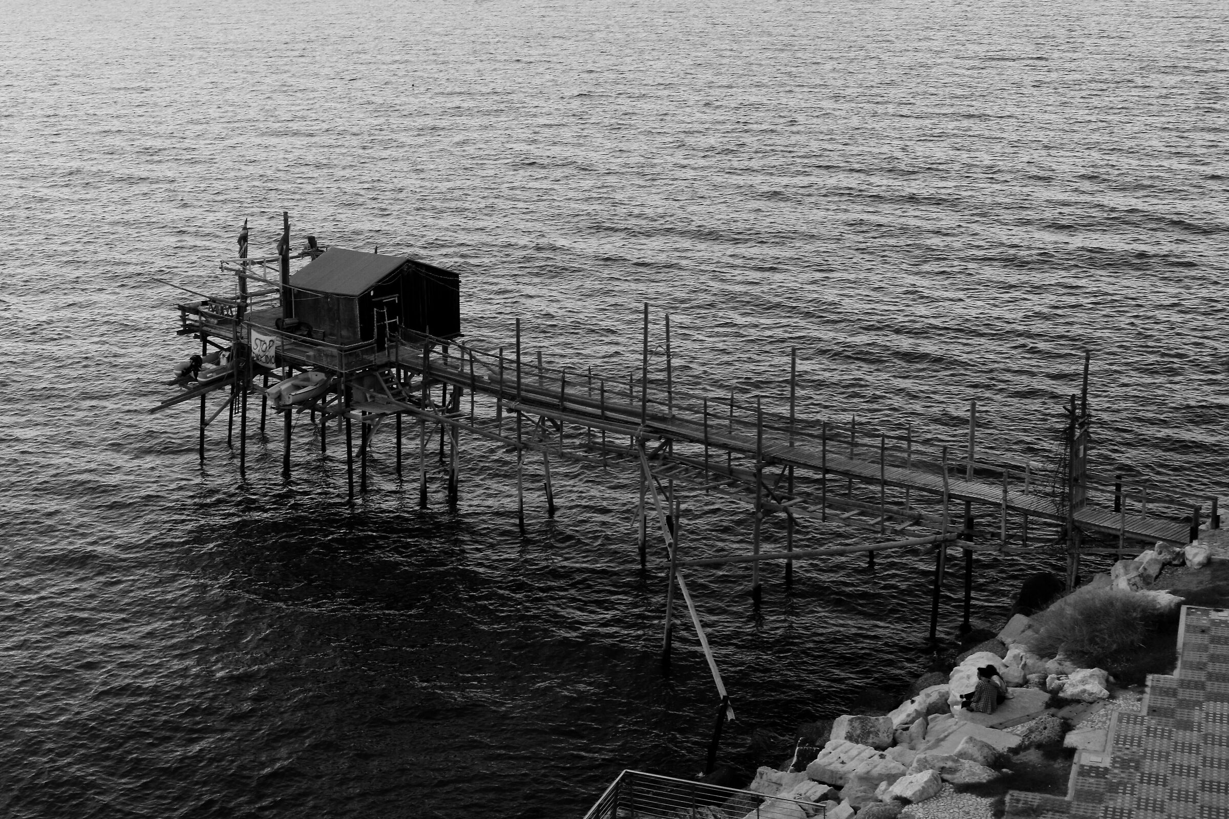 Untitled Photo