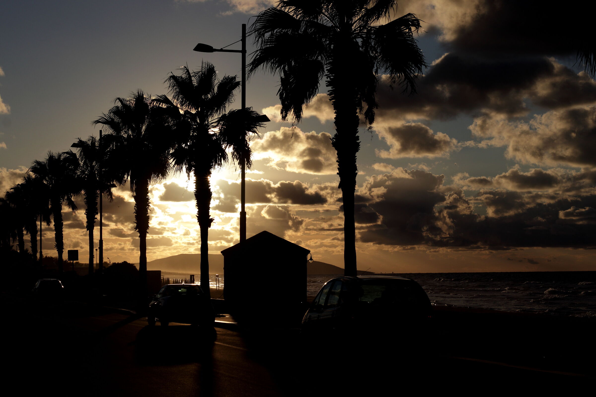 Untitled Photo