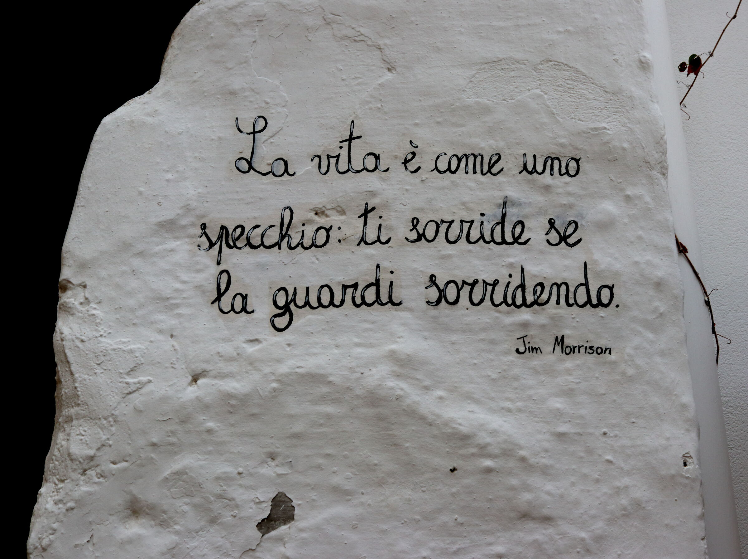 Untitled Photo