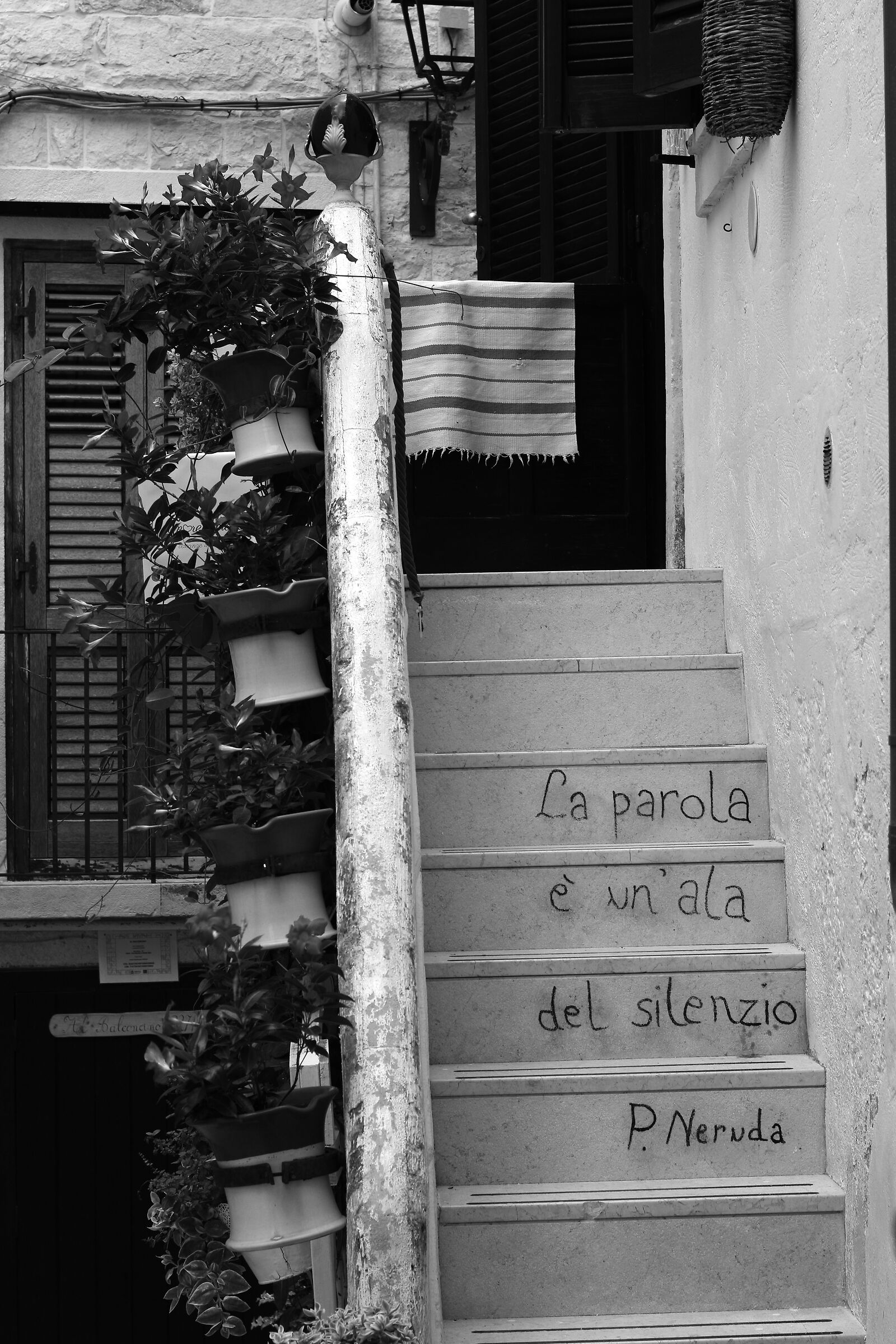 Untitled Photo