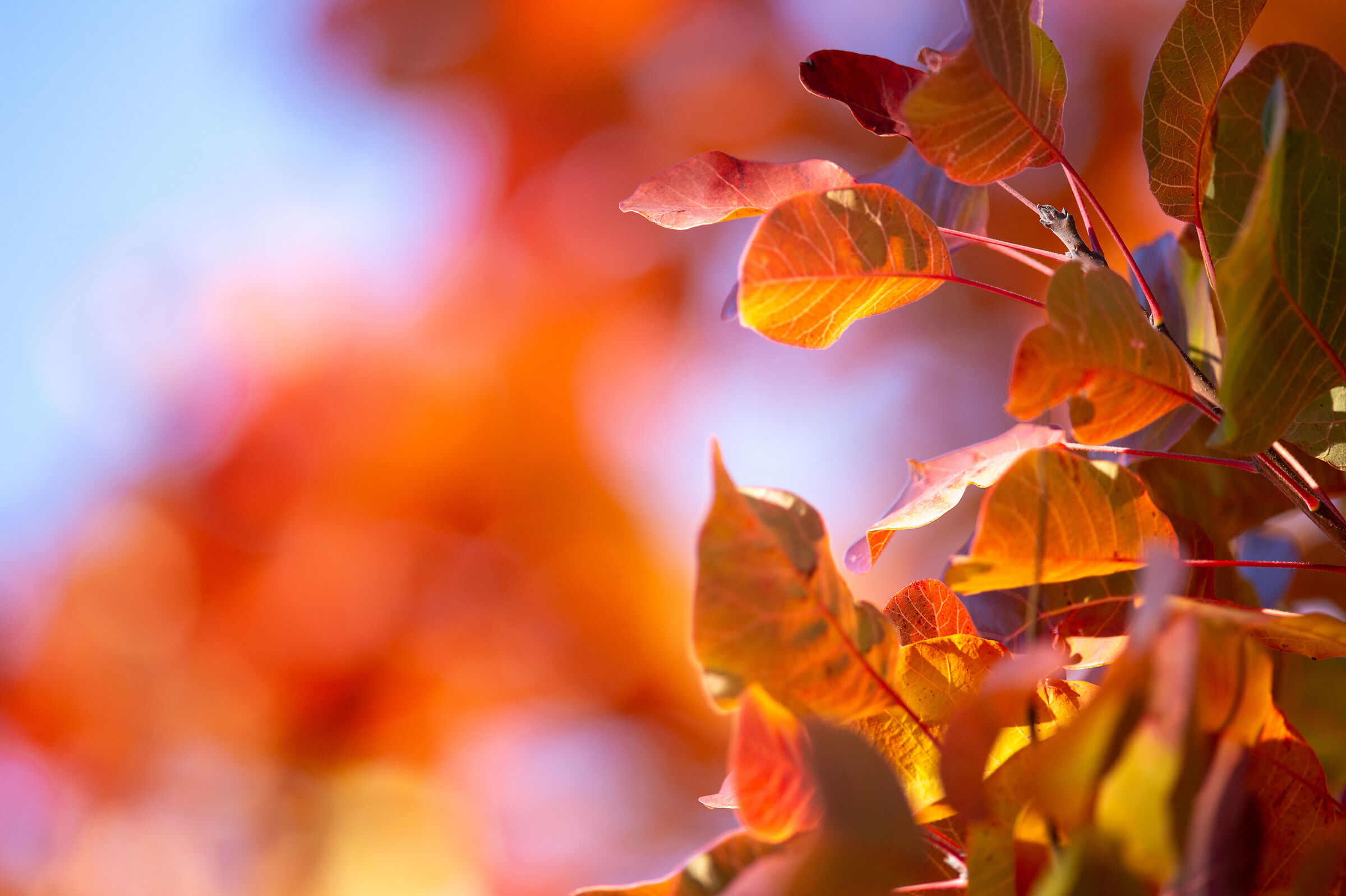 Abbadia di Fiastra fine autunno