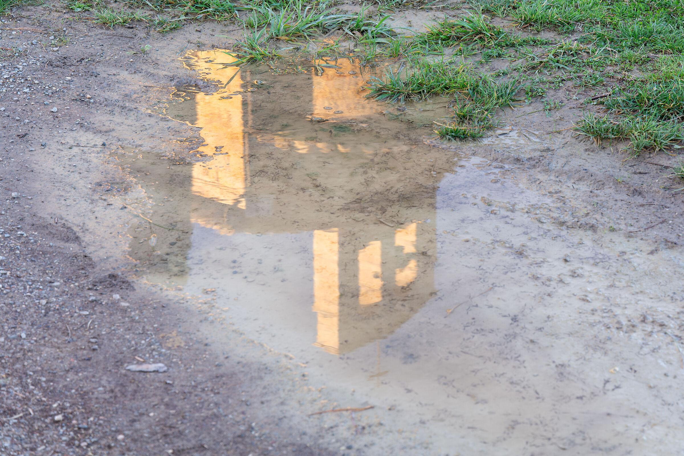 Vitaleta's Reflections