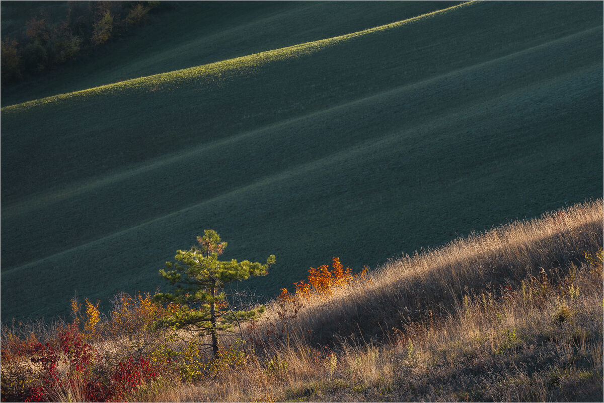 A Blow of Light