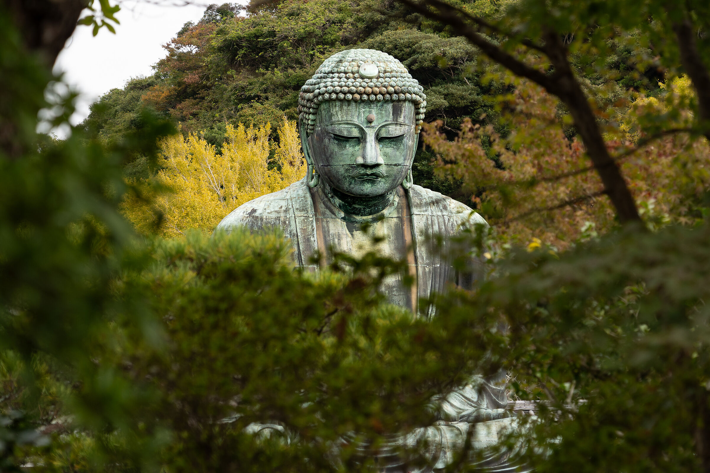 Statua del Buddha nascosta