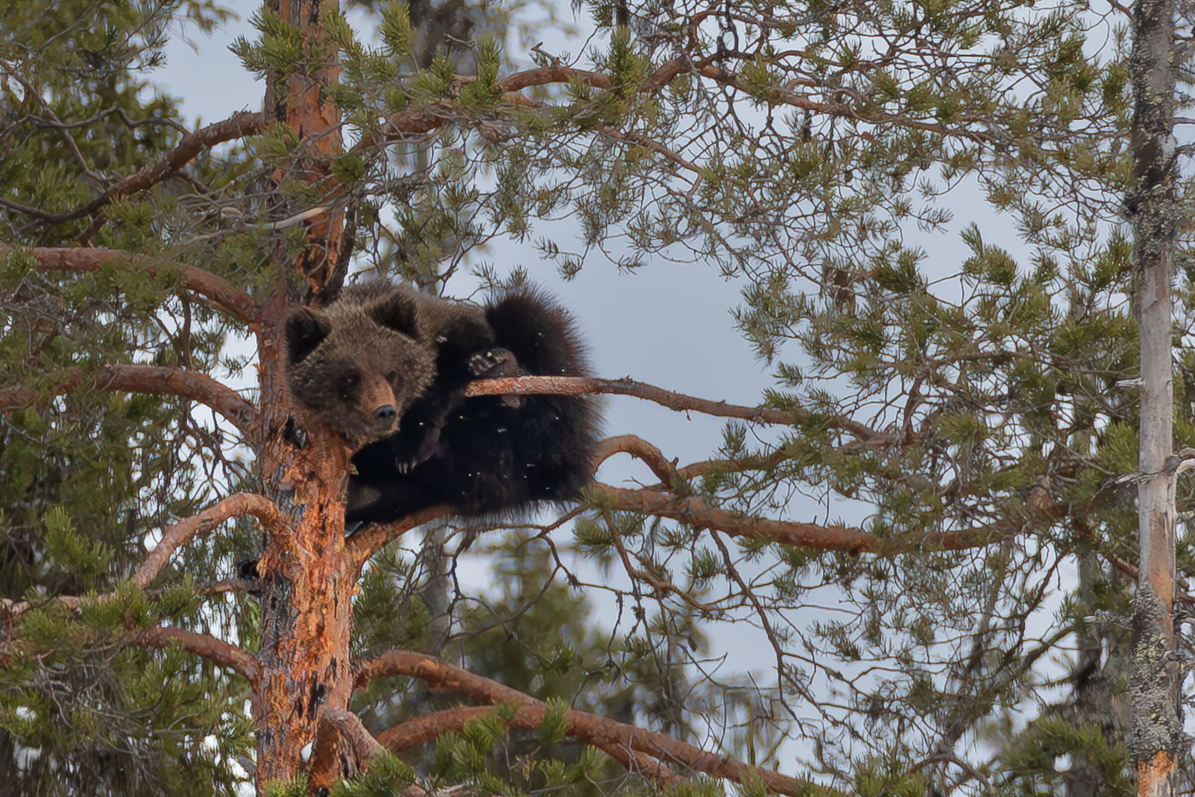 Da qui sopra si vede lontano