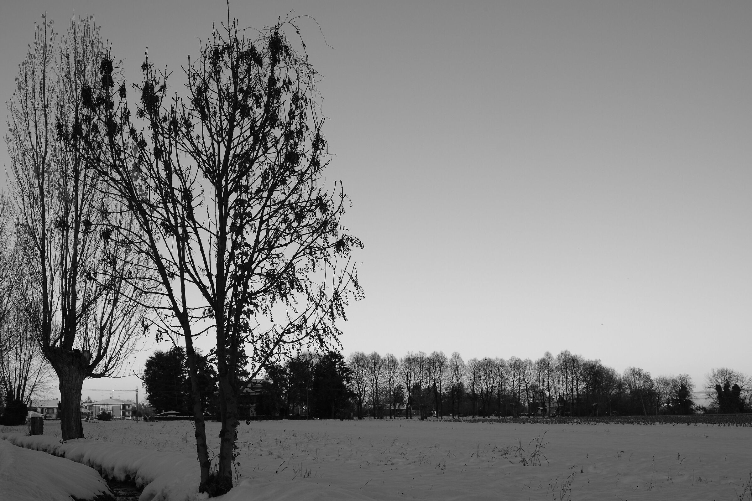 Winter silence