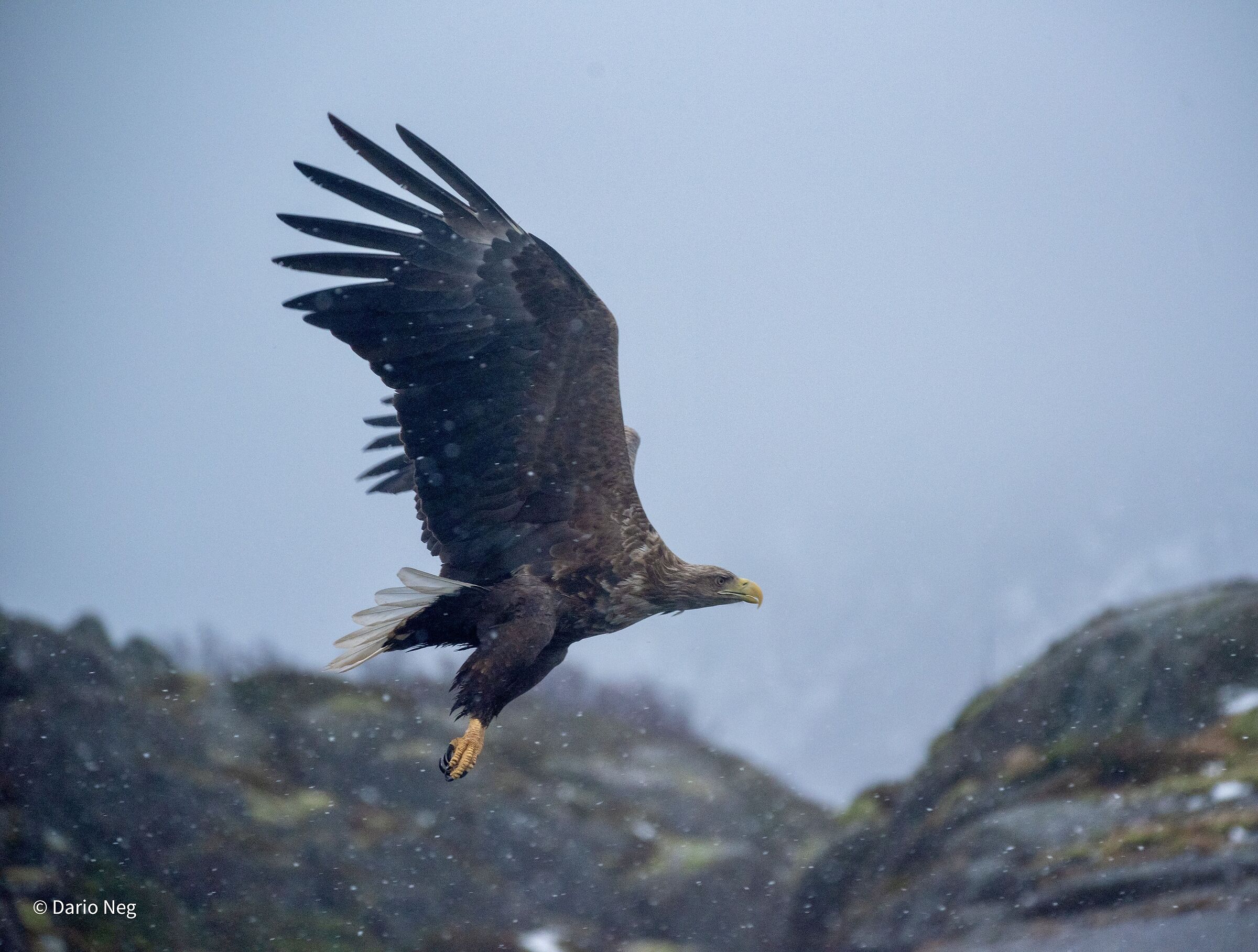 Flight over the North