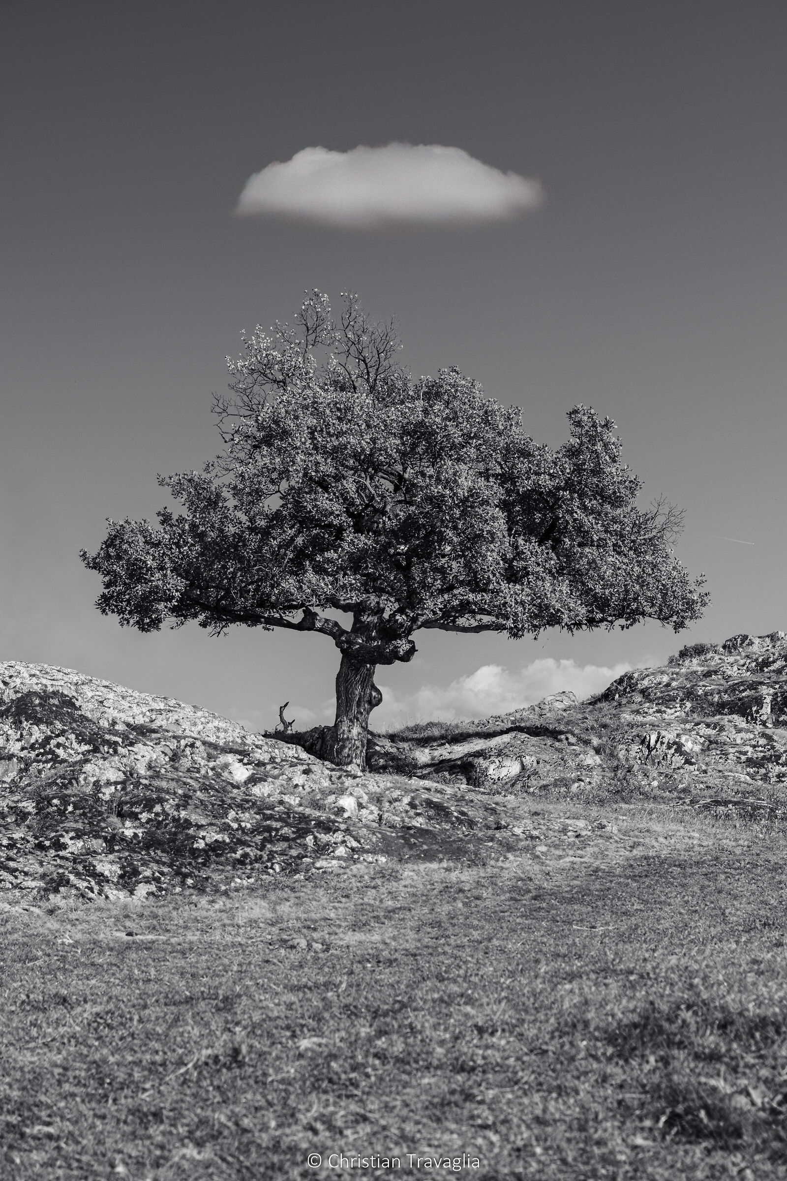 Cappello - Castel Feder - Autunno 2025