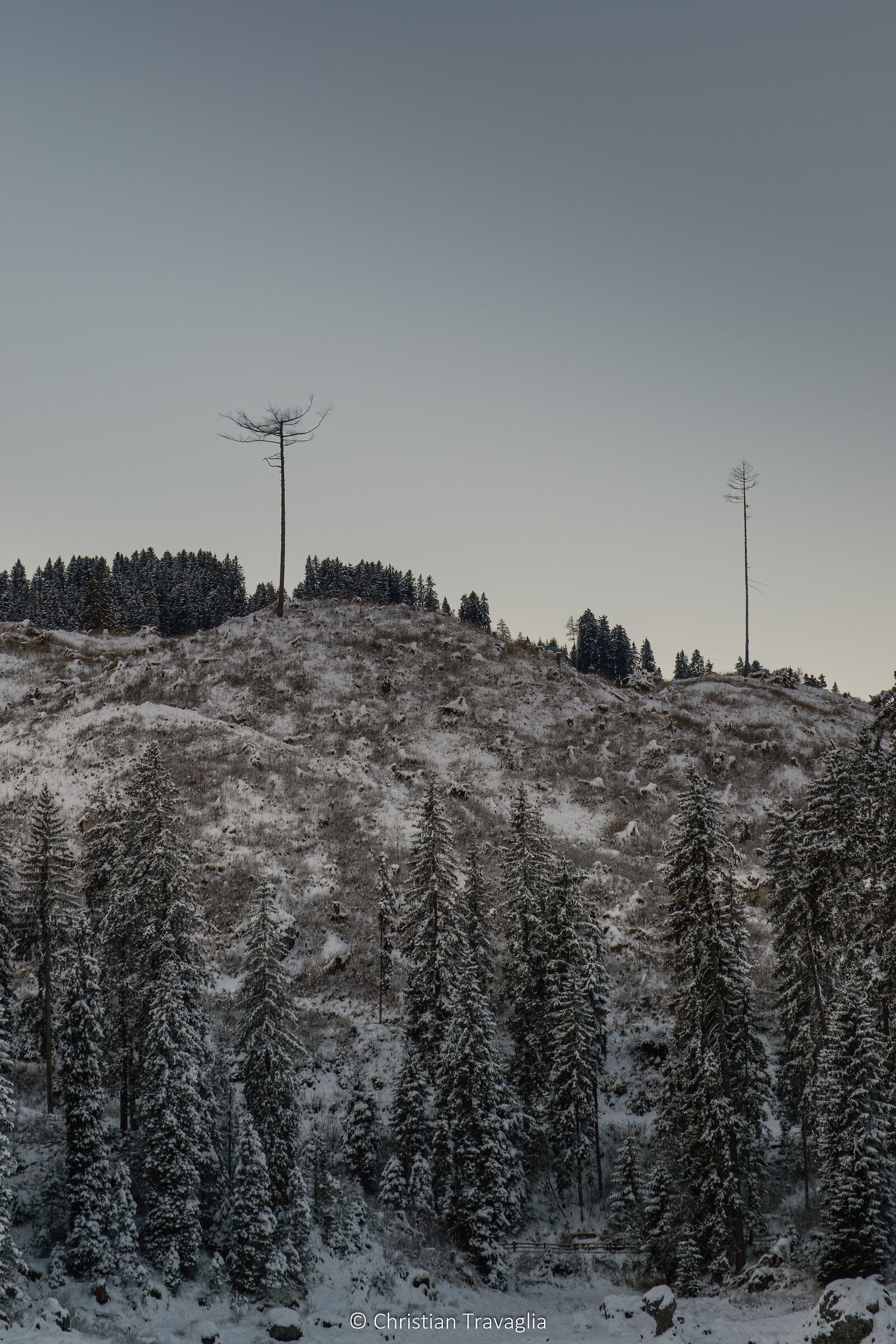 Vaja - Lake Carezza - Winter 2025