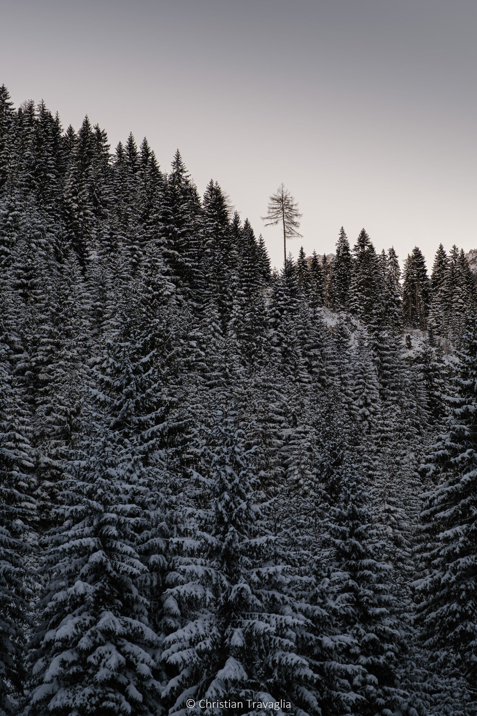 Solitaire - Lake Carezza - Winter 2025