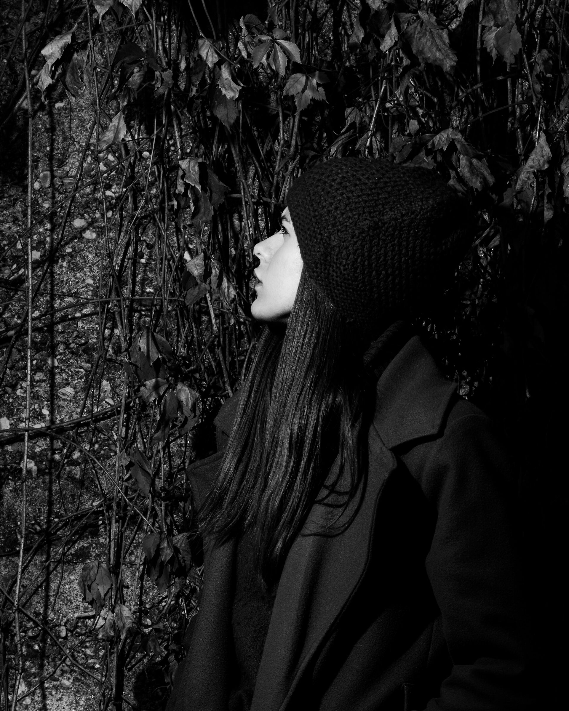 Untitled Photo