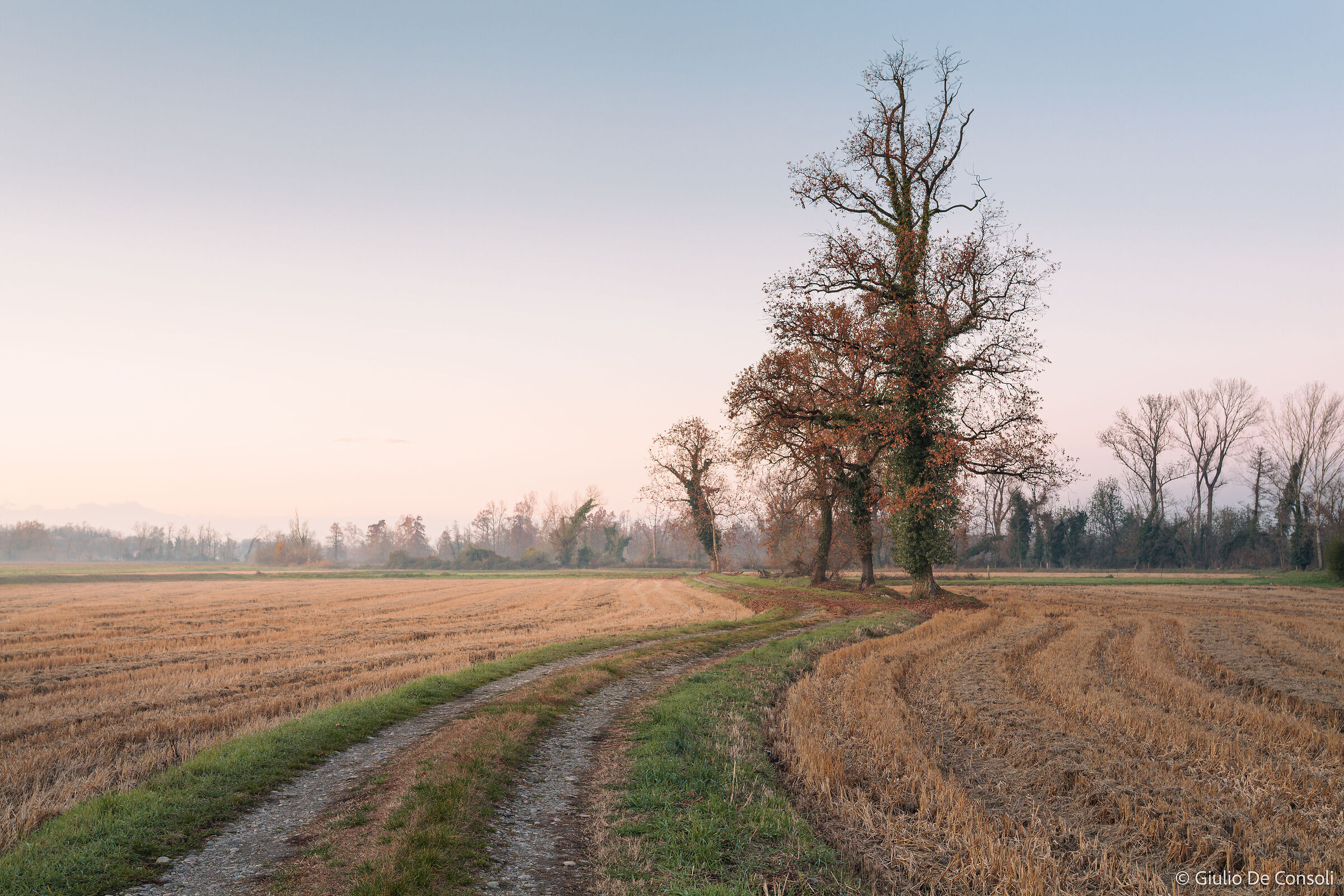 End of November in the countryside